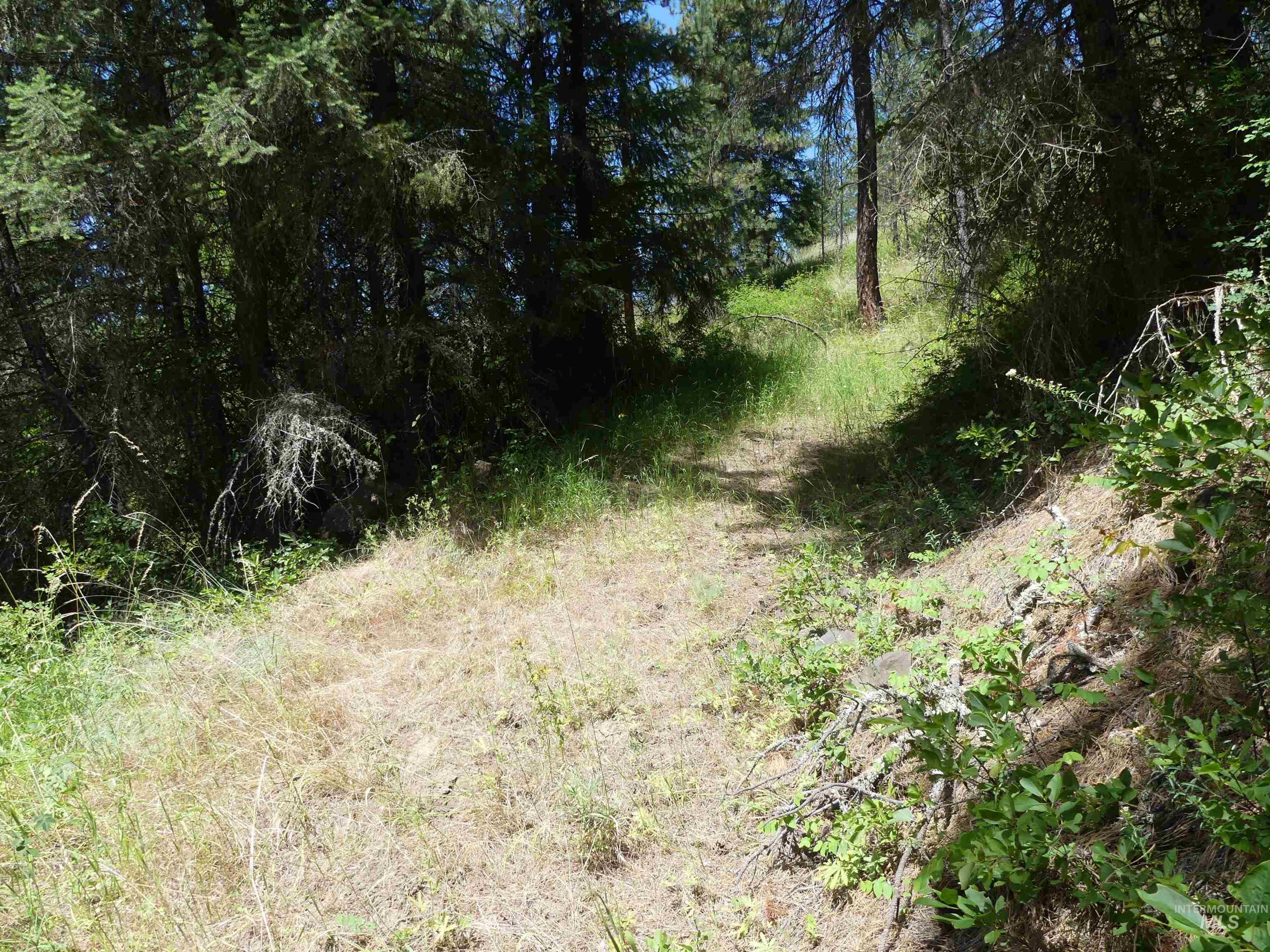 46601 Little Canyon Rd Property Photo 50