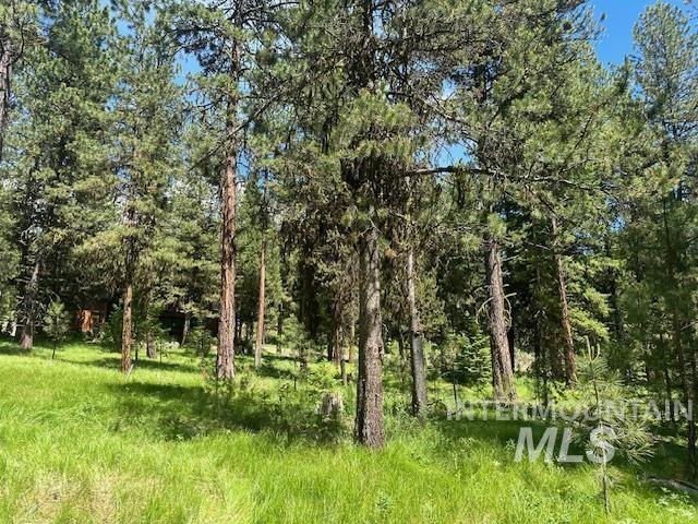 17 Vernon Court Property Photo 8