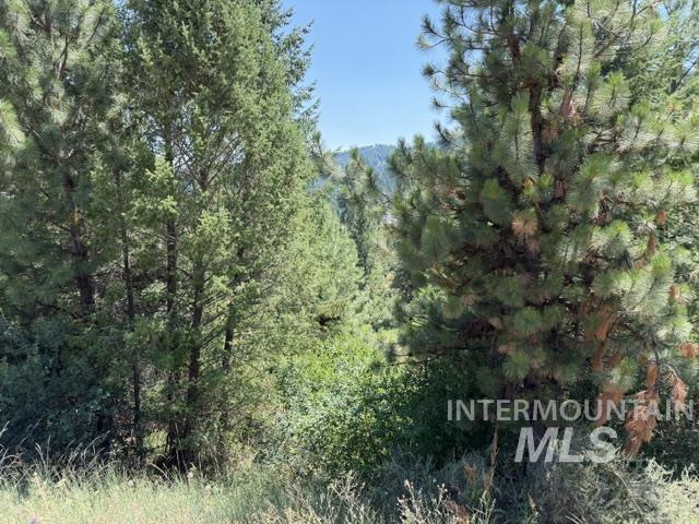 Lot 17 Boise Holcomb #2 Property Photo 12