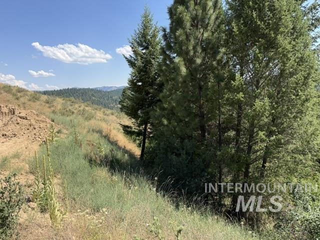Lot 17 Boise Holcomb #2 Property Photo 13
