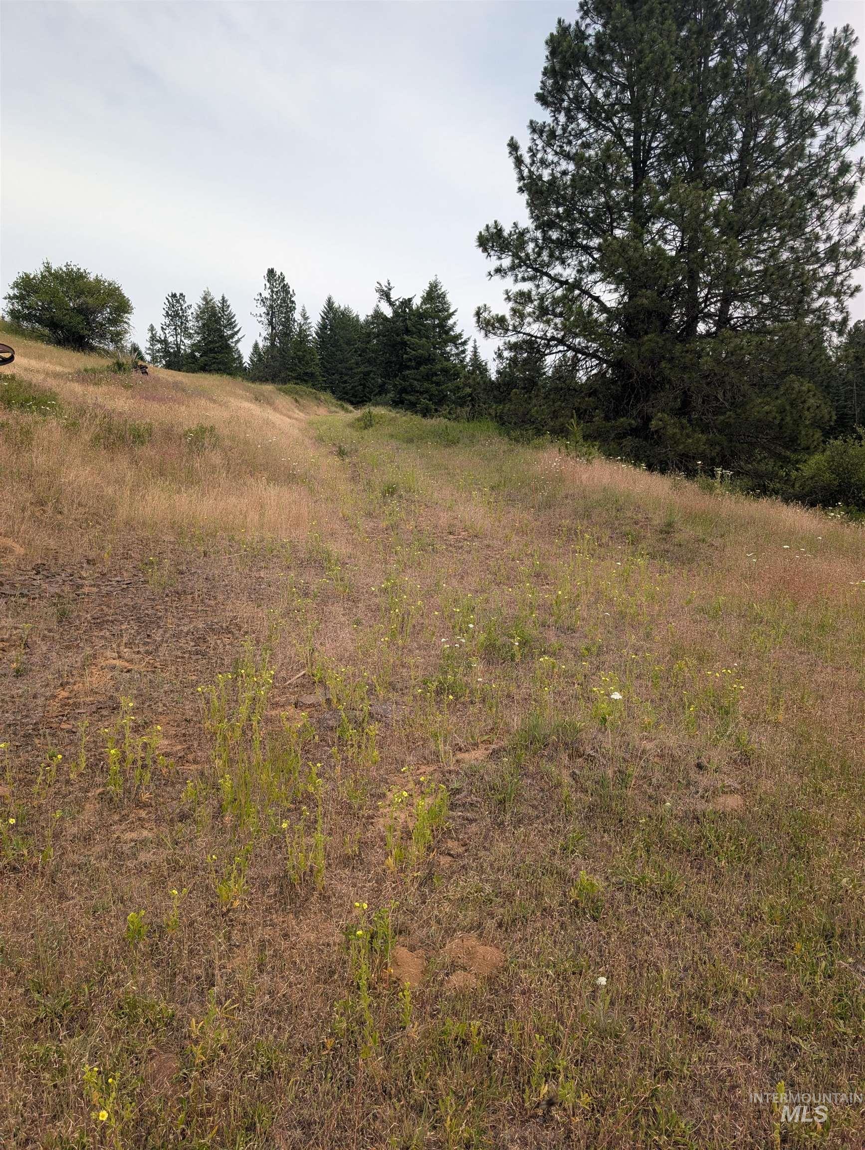 000 Middle Rd Property Photo 14