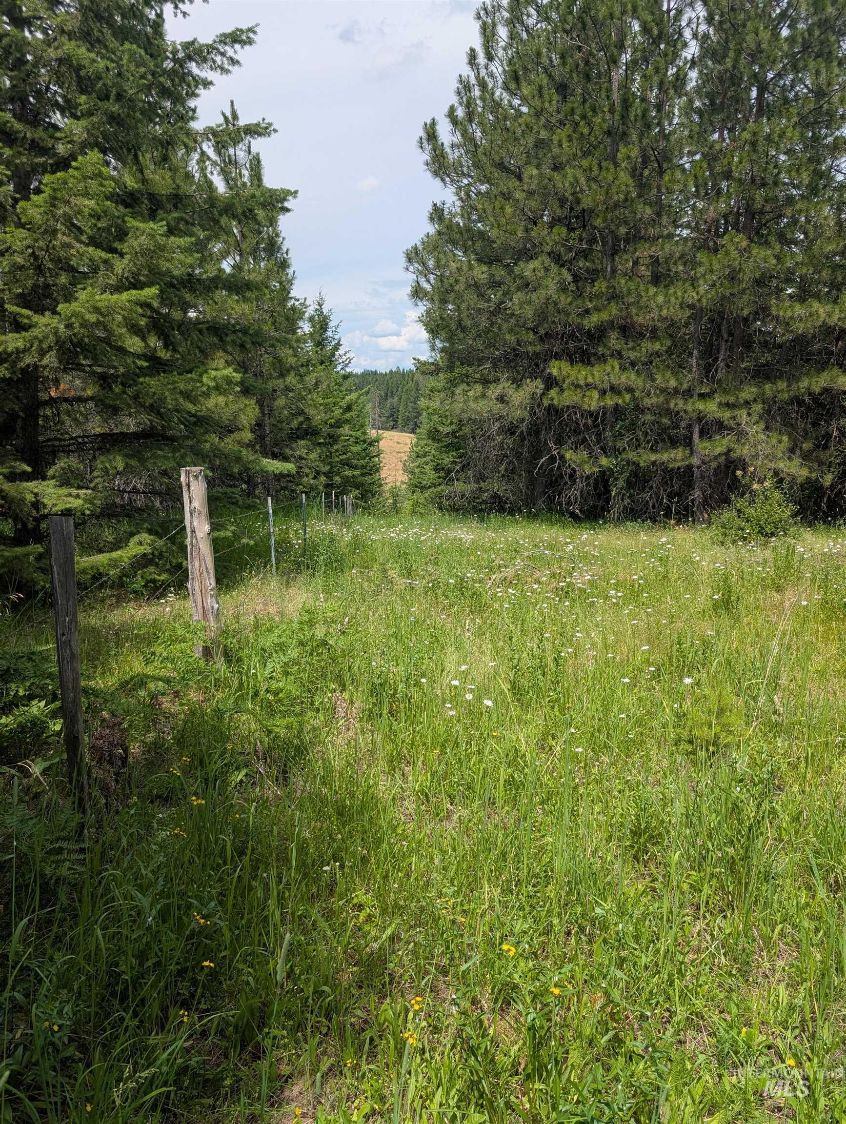 000 Middle Rd Property Photo 33