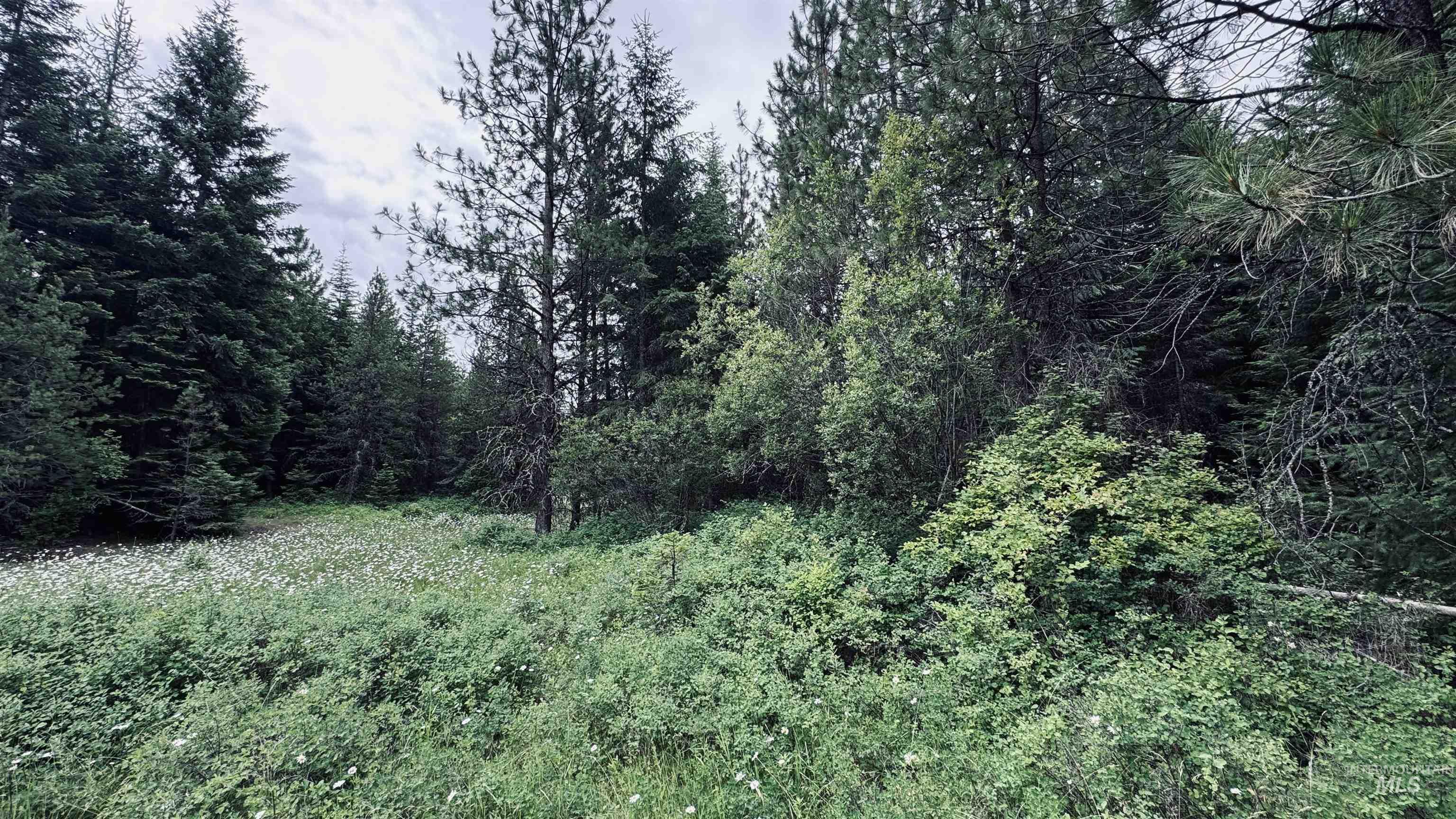 58 Bugling Elk Lane Property Photo 1