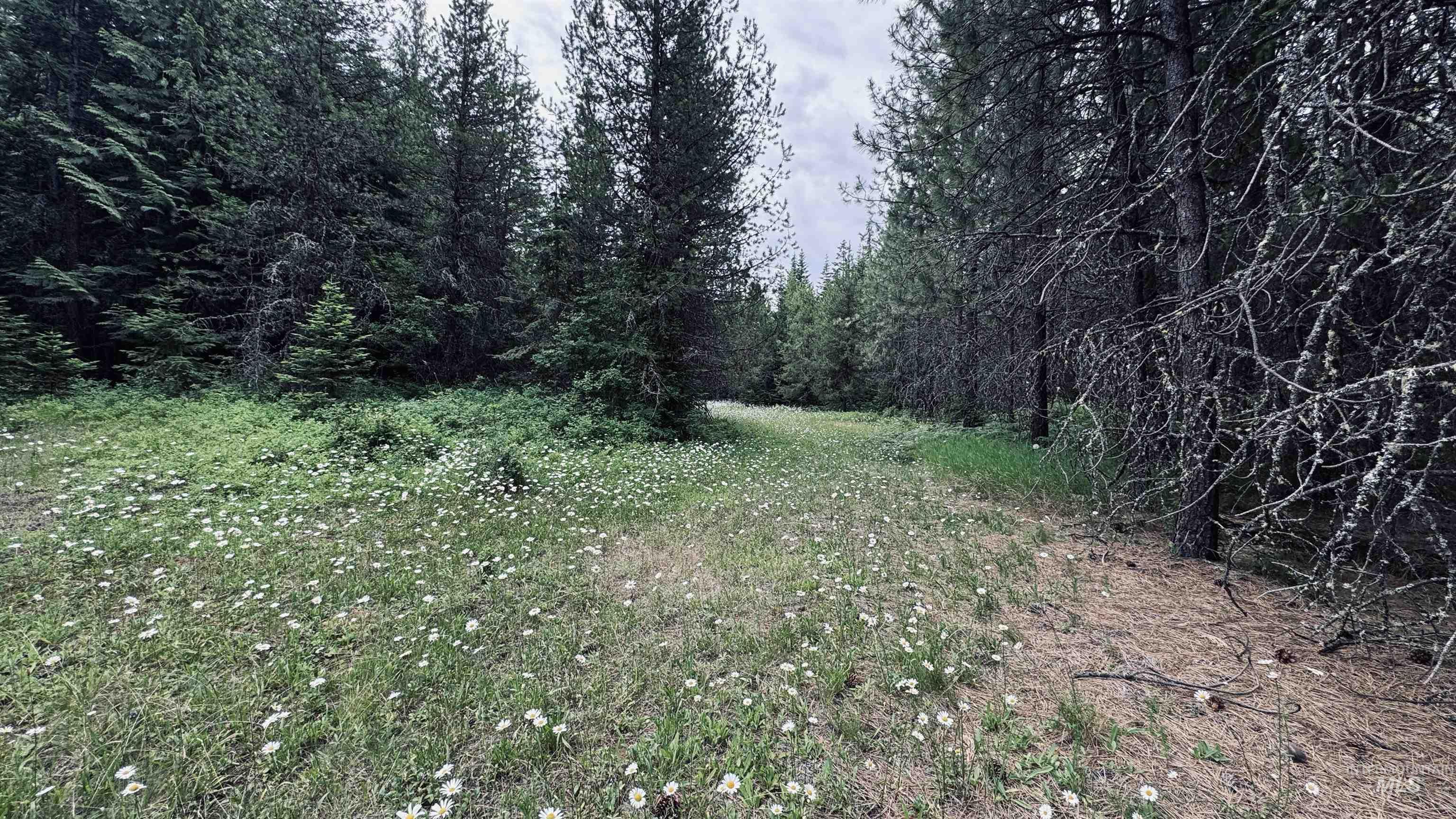 58 Bugling Elk Lane Property Photo 2