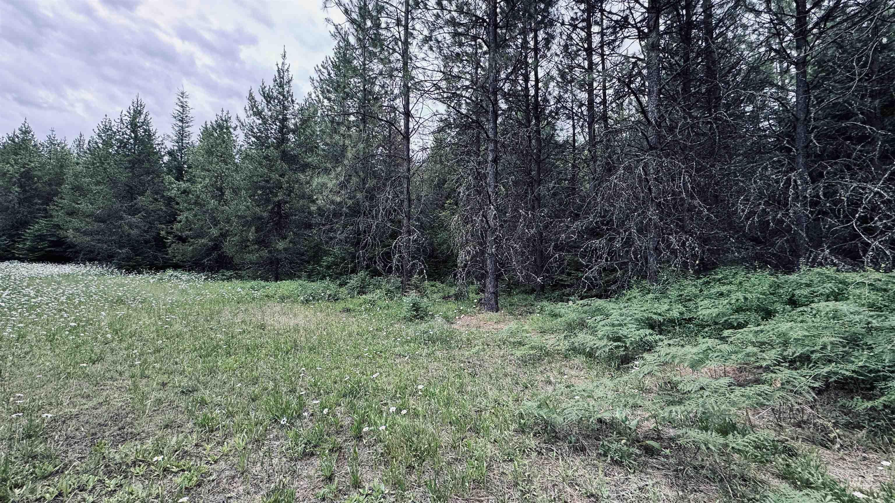 58 Bugling Elk Lane Property Photo 4