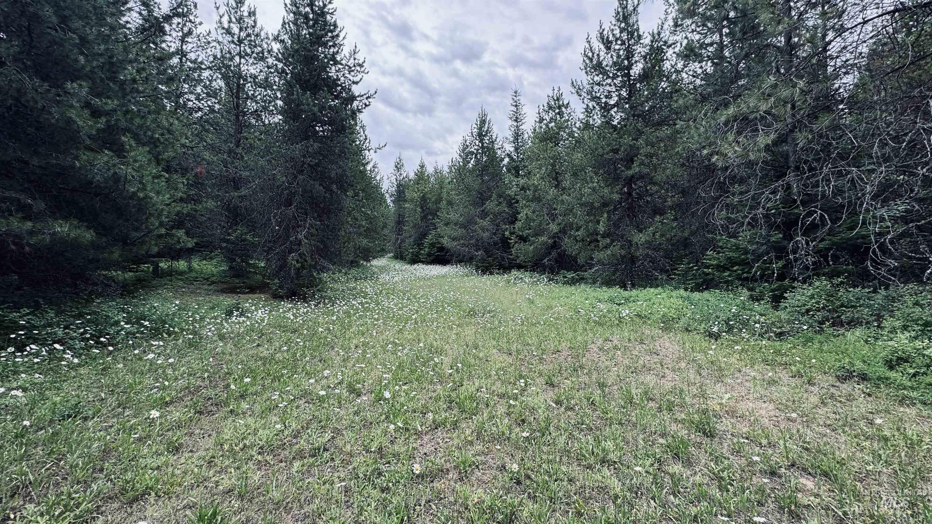 58 Bugling Elk Lane Property Photo 5