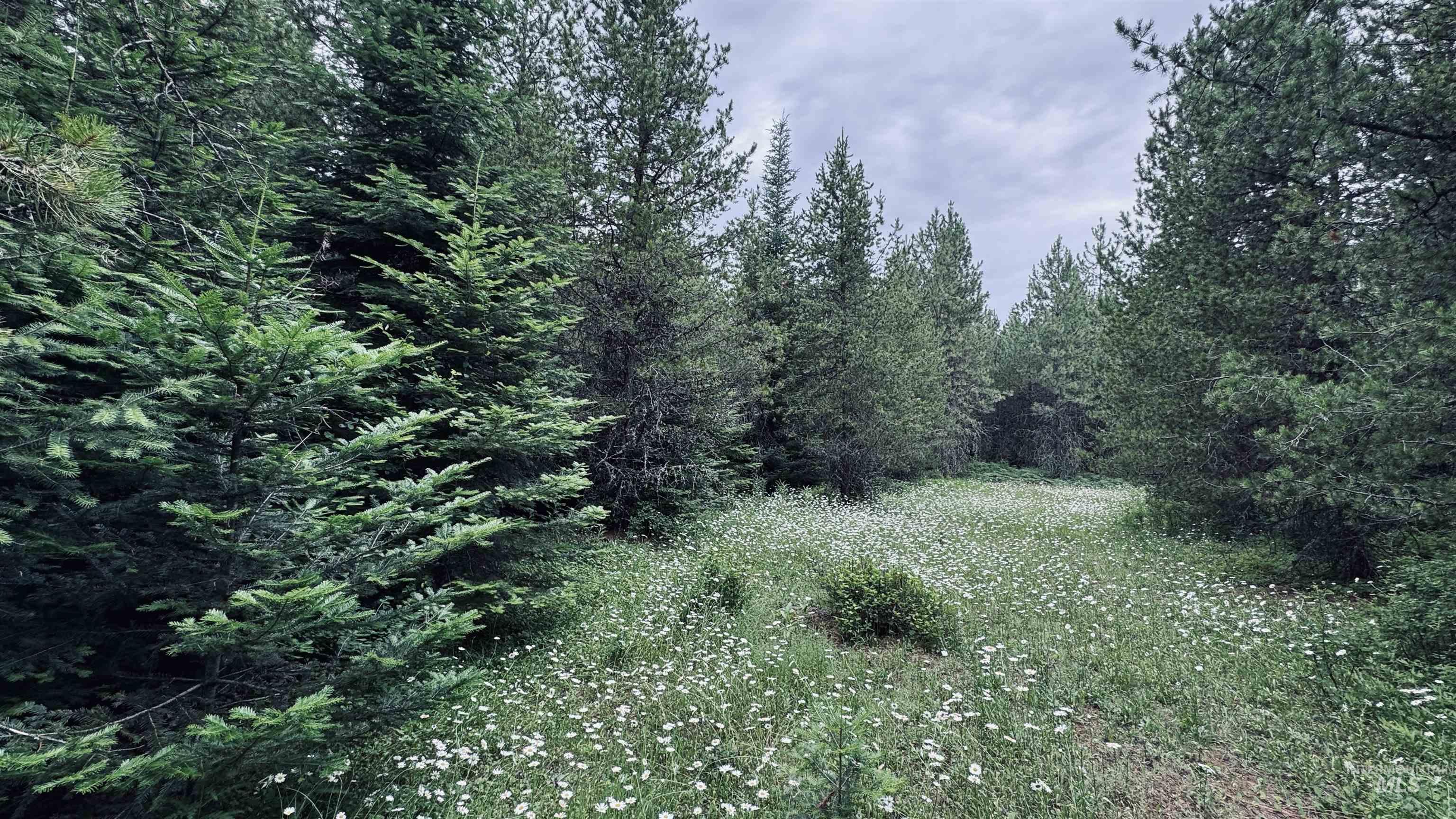 58 Bugling Elk Lane Property Photo 8