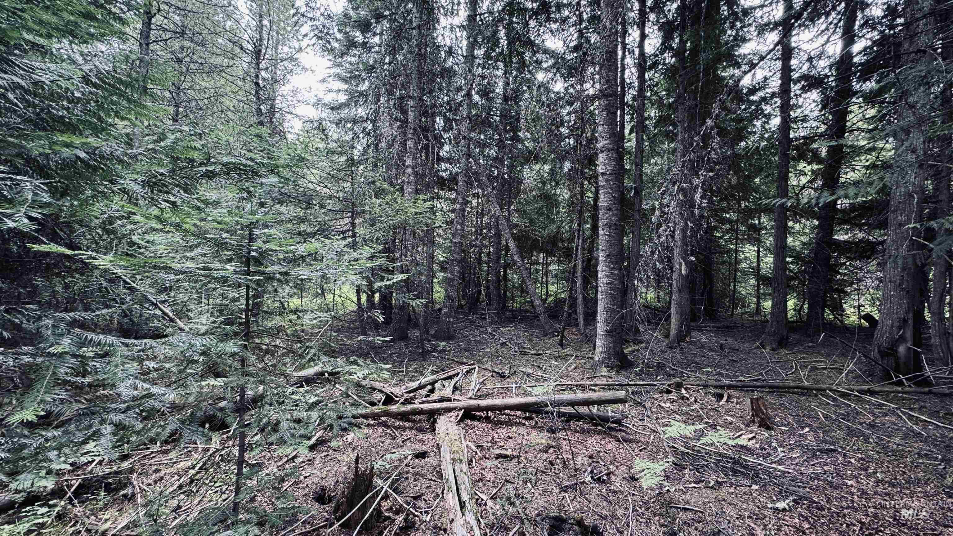 58 Bugling Elk Lane Property Photo 10