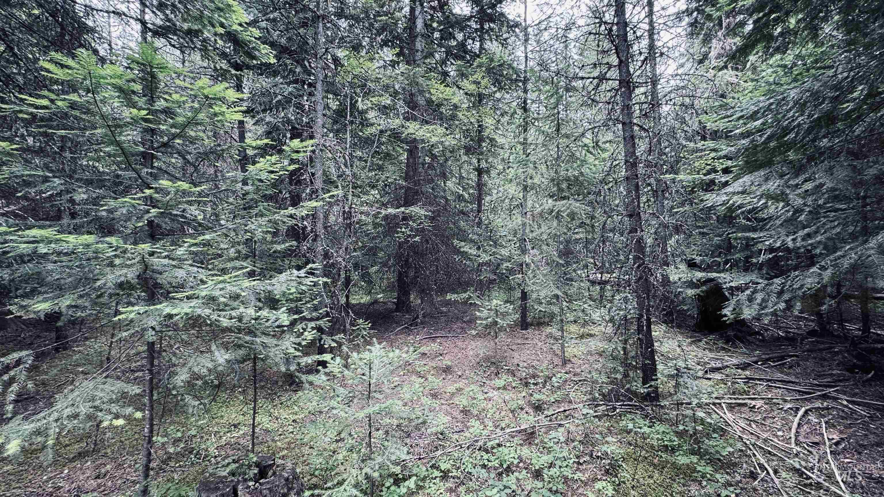 58 Bugling Elk Lane Property Photo 11