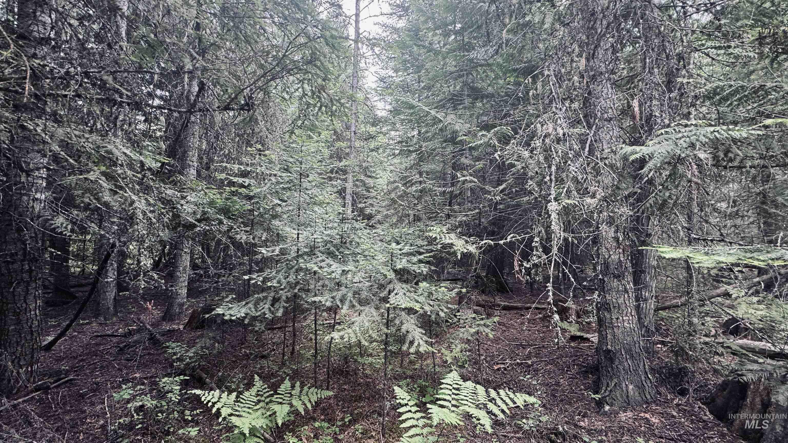 58 Bugling Elk Lane Property Photo 14