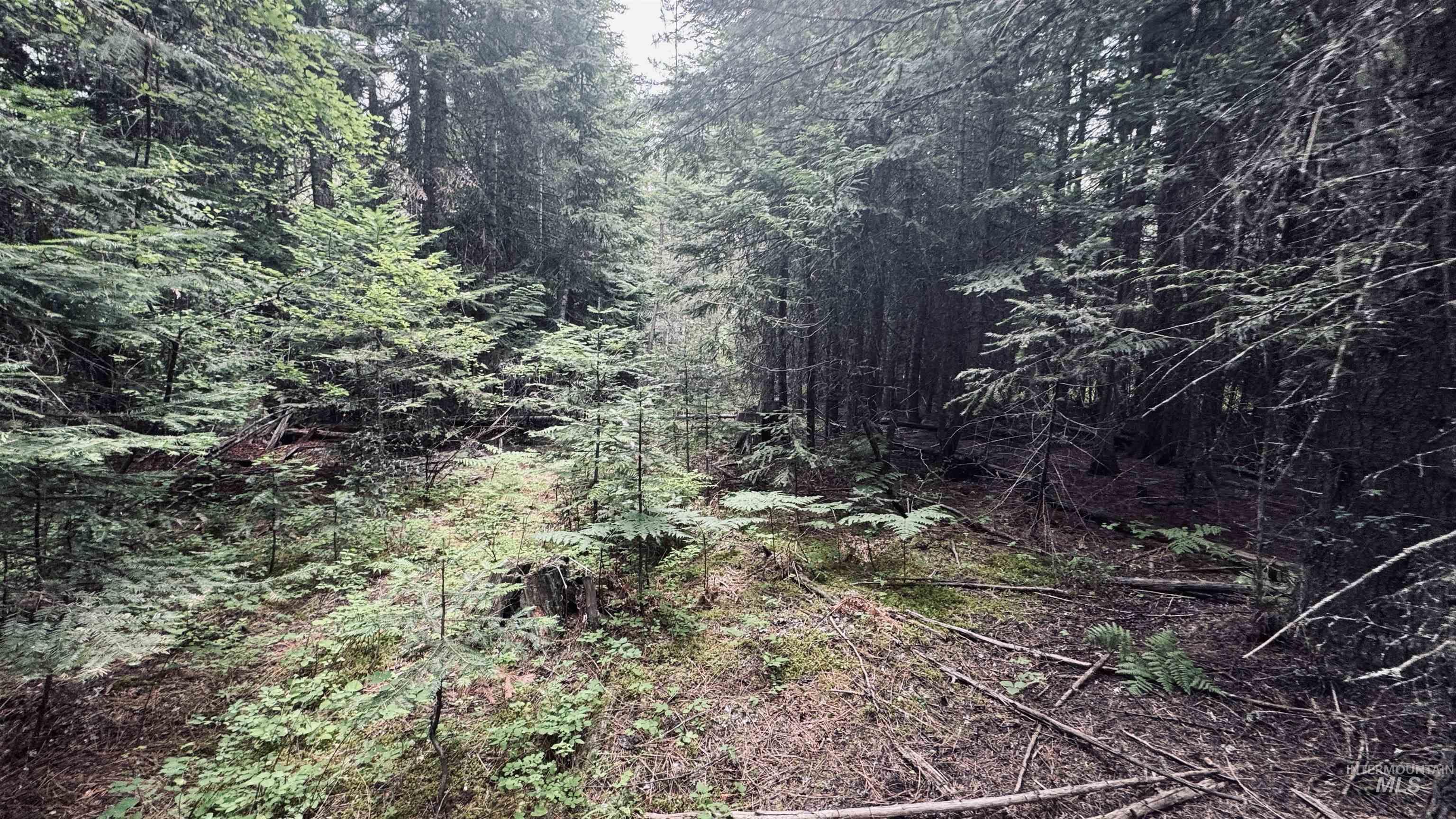 58 Bugling Elk Lane Property Photo 17