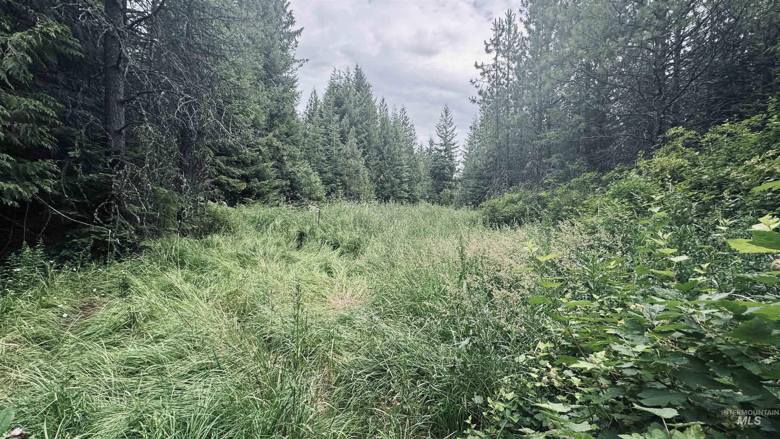 58 Bugling Elk Lane Property Photo 22