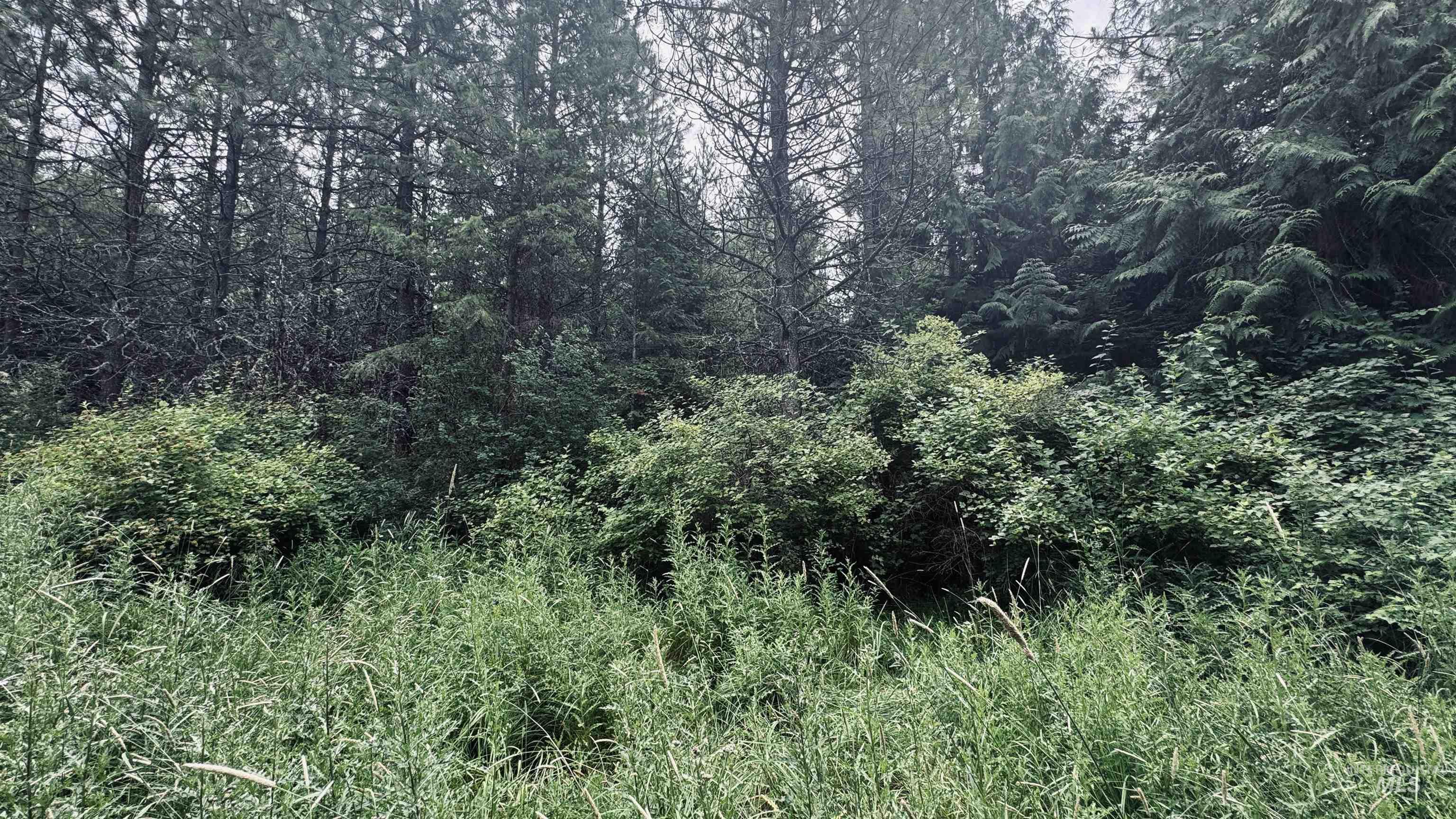 58 Bugling Elk Lane Property Photo 24
