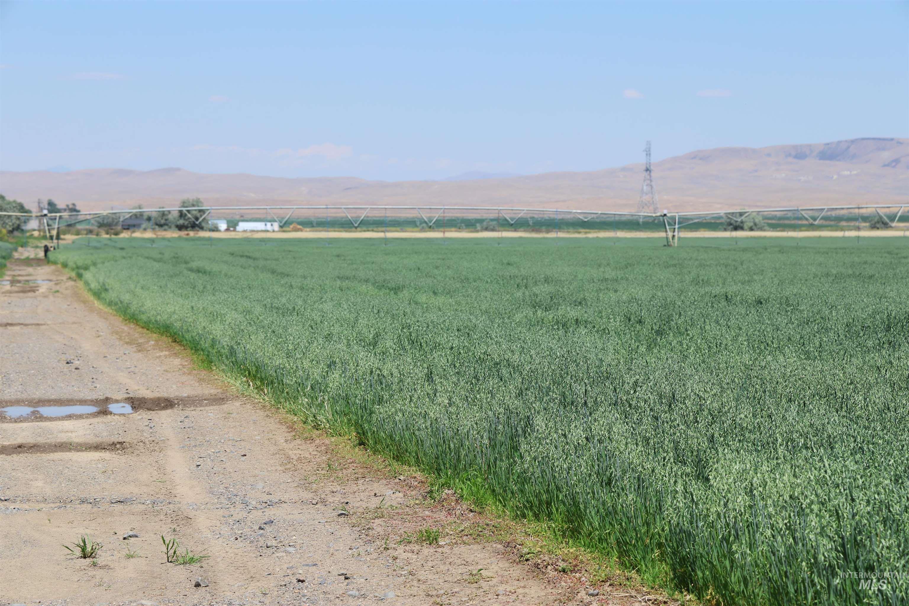 4362 John Day Highway Property Photo 15