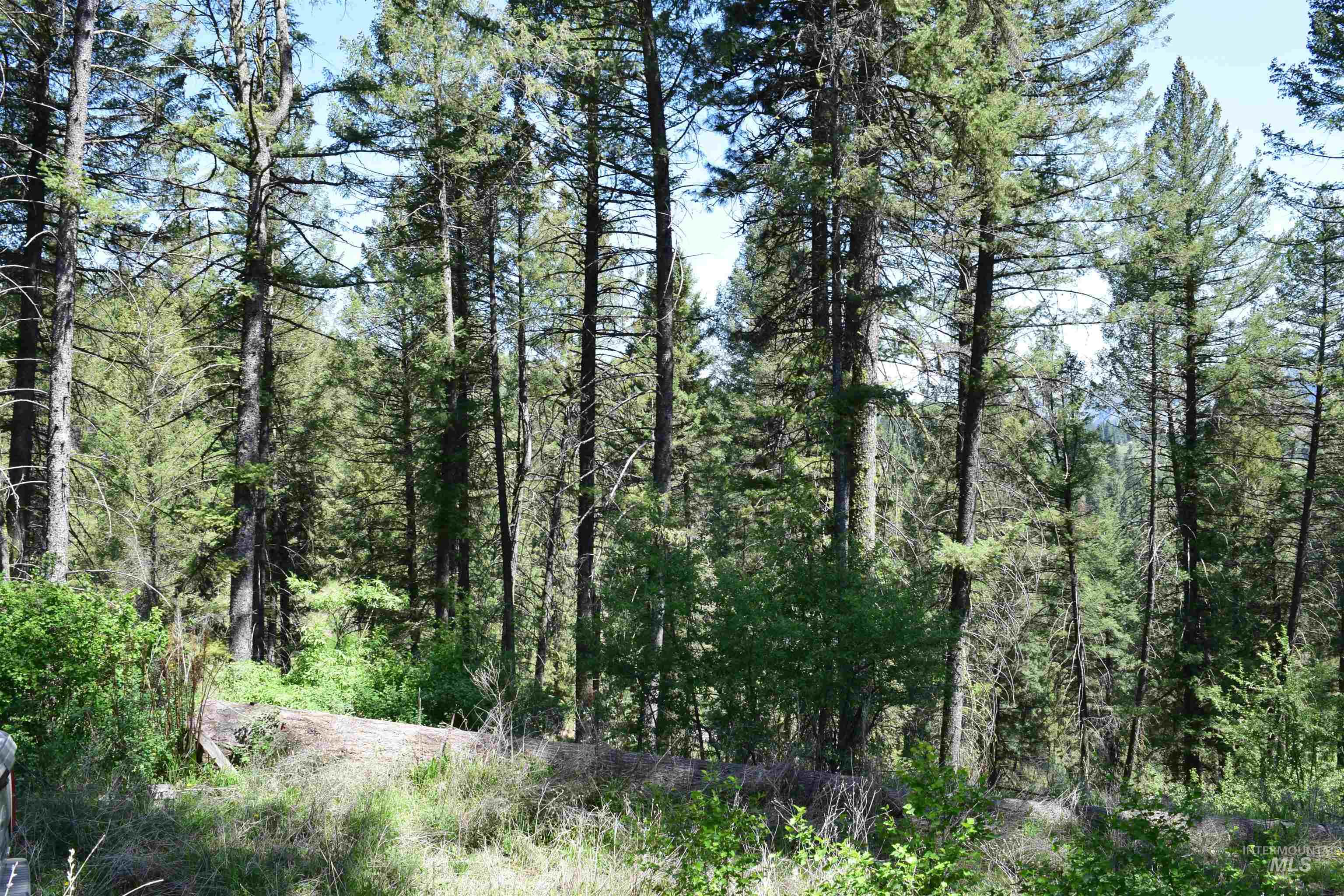 18 Alpine Place Property Photo 2