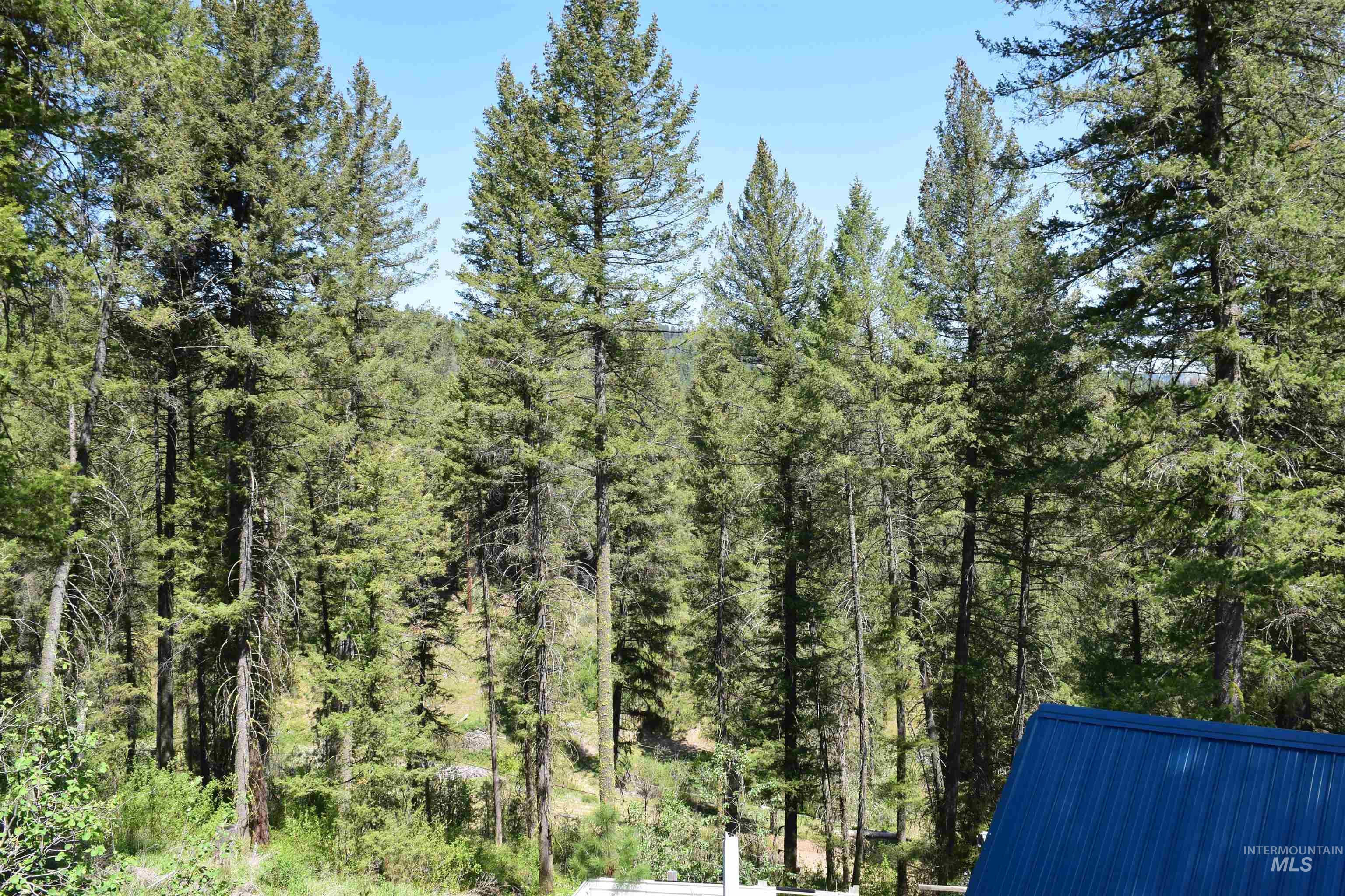 18 Alpine Place Property Photo 6