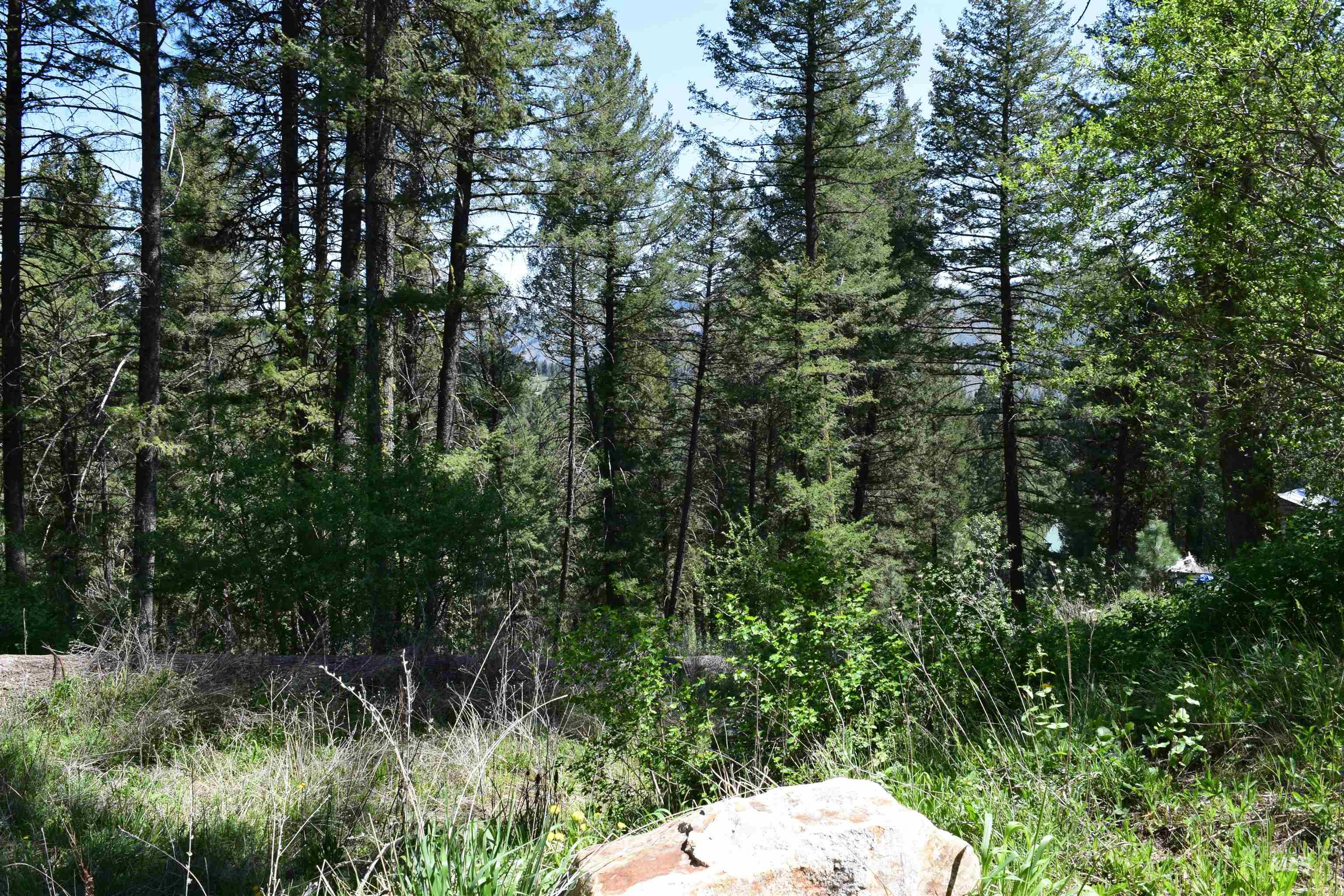 18 Alpine Place Property Photo 9
