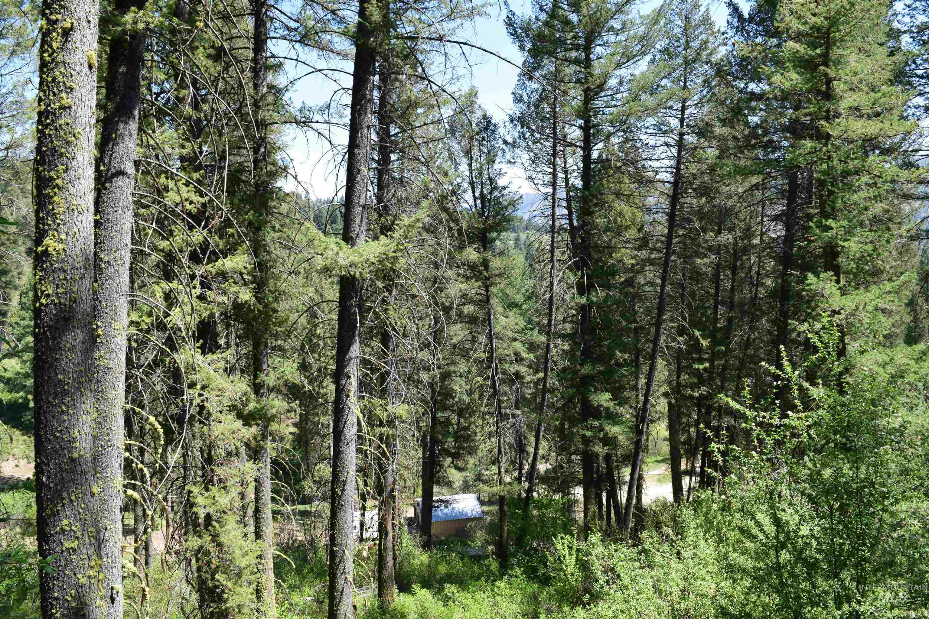 18 Alpine Place Property Photo 11
