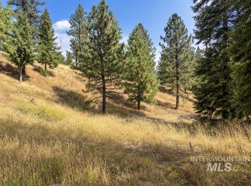 Nna Sangster Rd. Property Photo 17