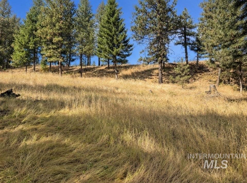 Nna Sangster Rd. Property Photo 18