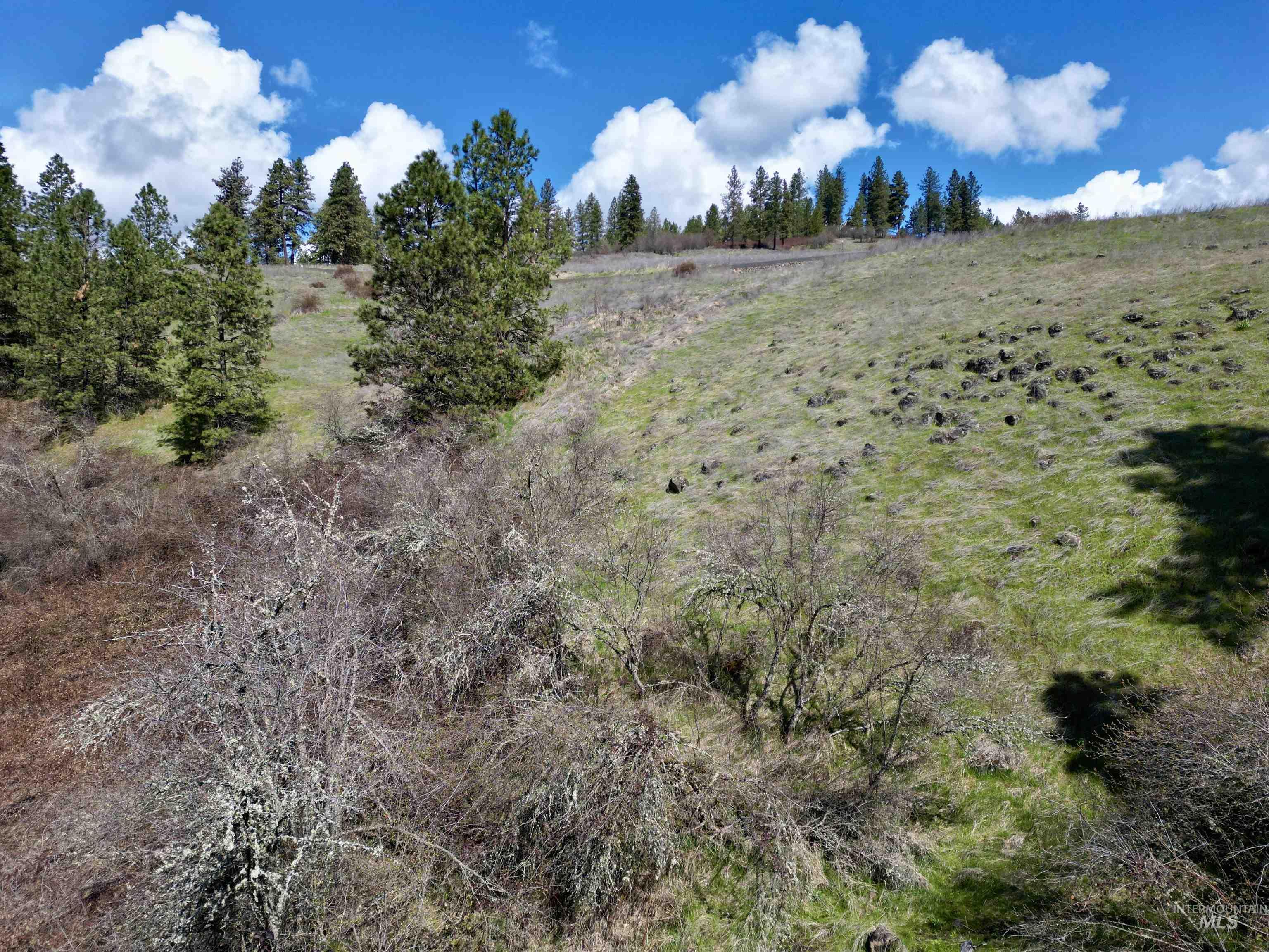 Tbd Old Peck Grade Property Photo 2