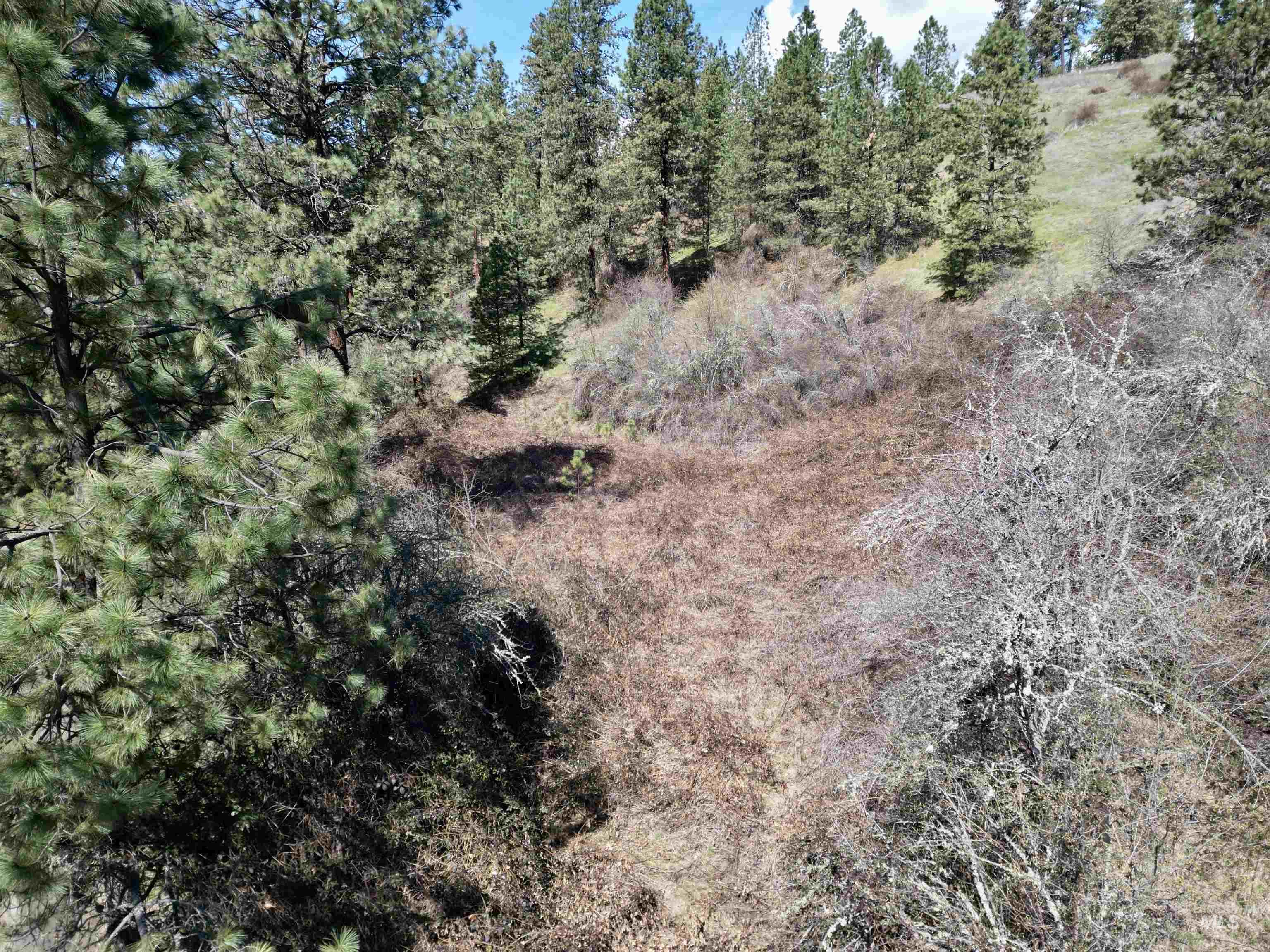 Tbd Old Peck Grade Property Photo 6