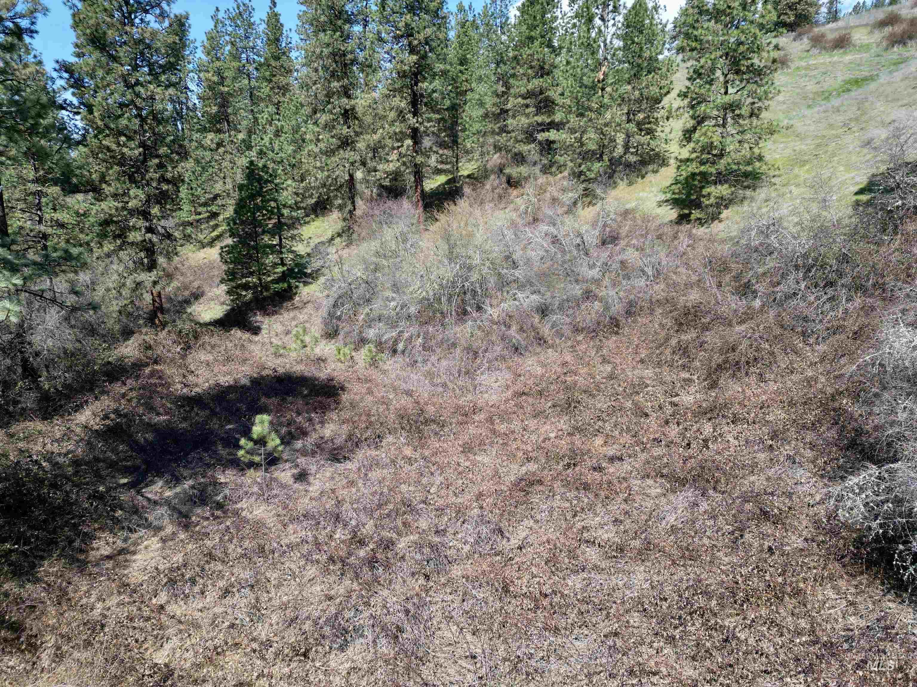 Tbd Old Peck Grade Property Photo 7