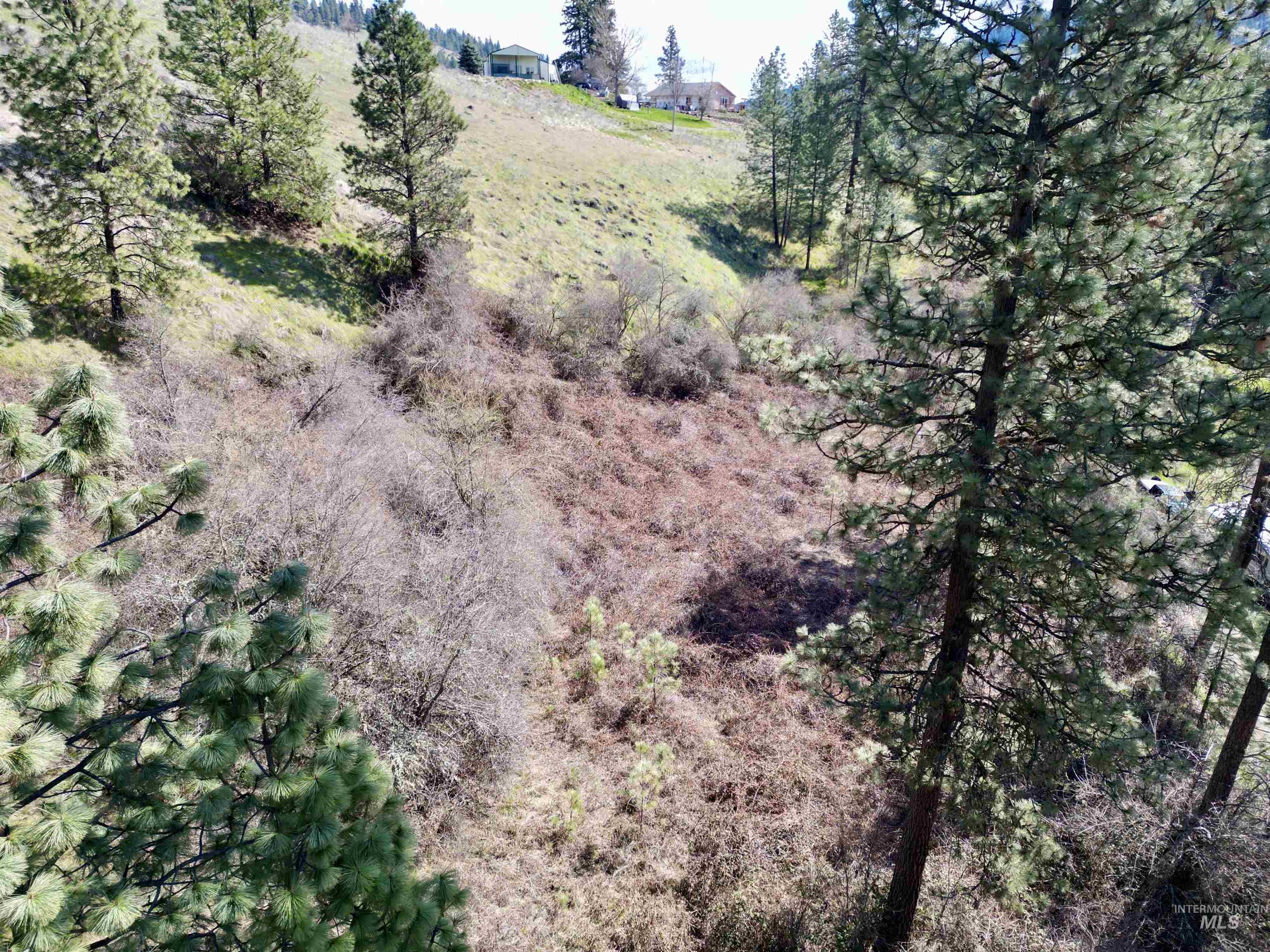 Tbd Old Peck Grade Property Photo 8