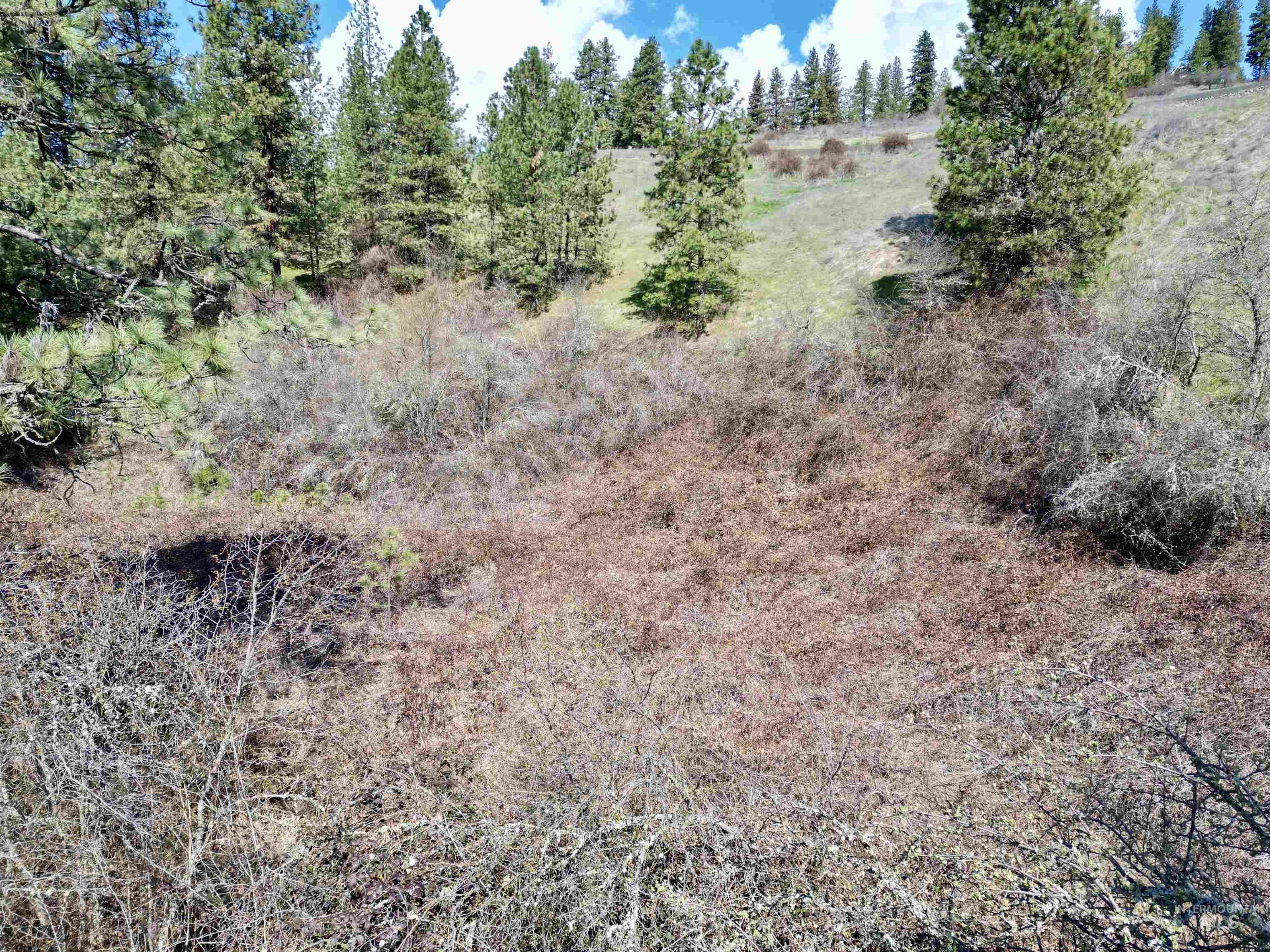 Tbd Old Peck Grade Property Photo 12