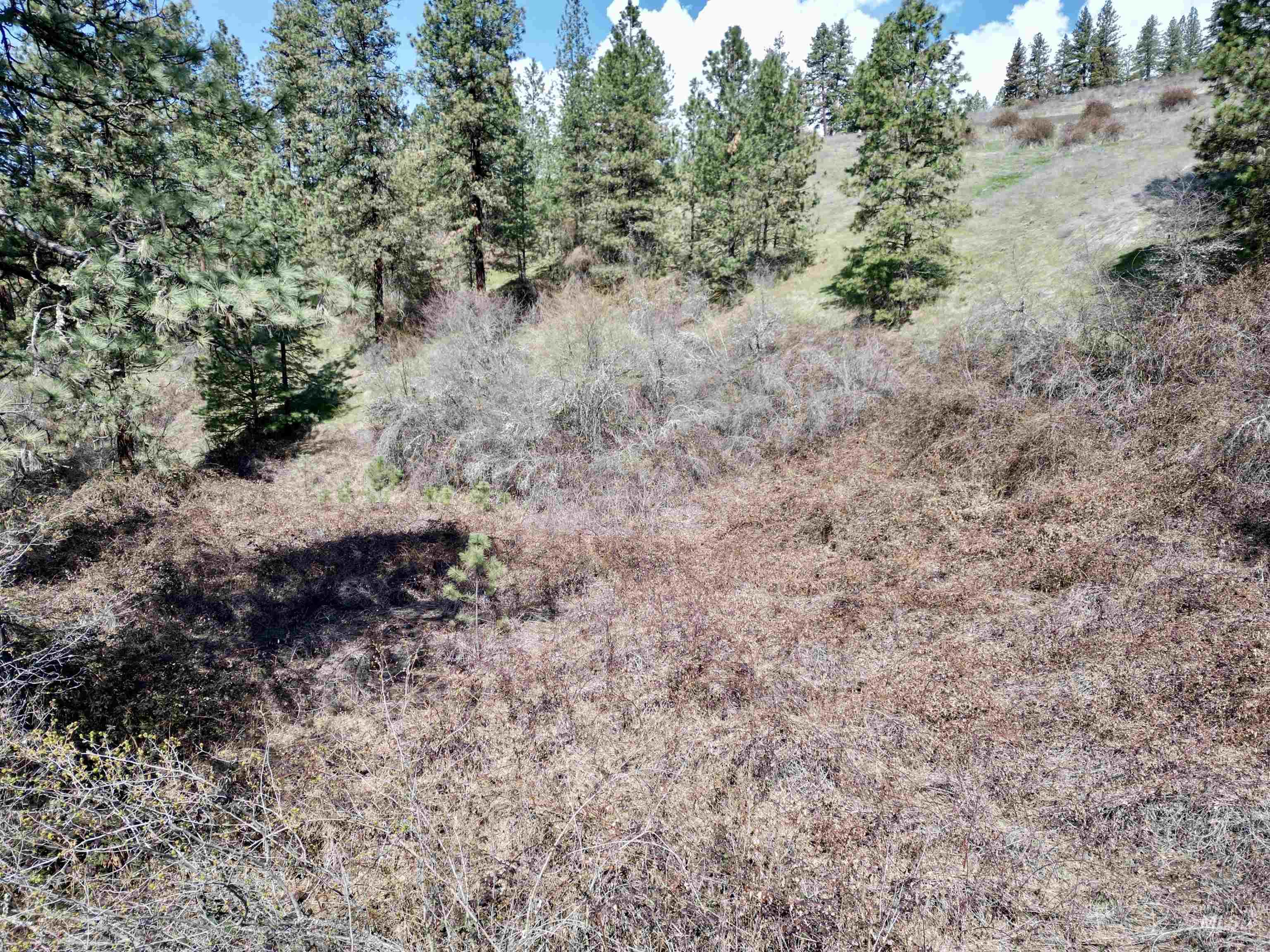 Tbd Old Peck Grade Property Photo 13