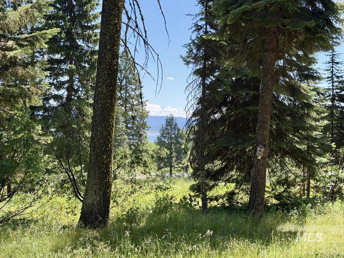 1610 Bear Trail Loop Property Photo 1