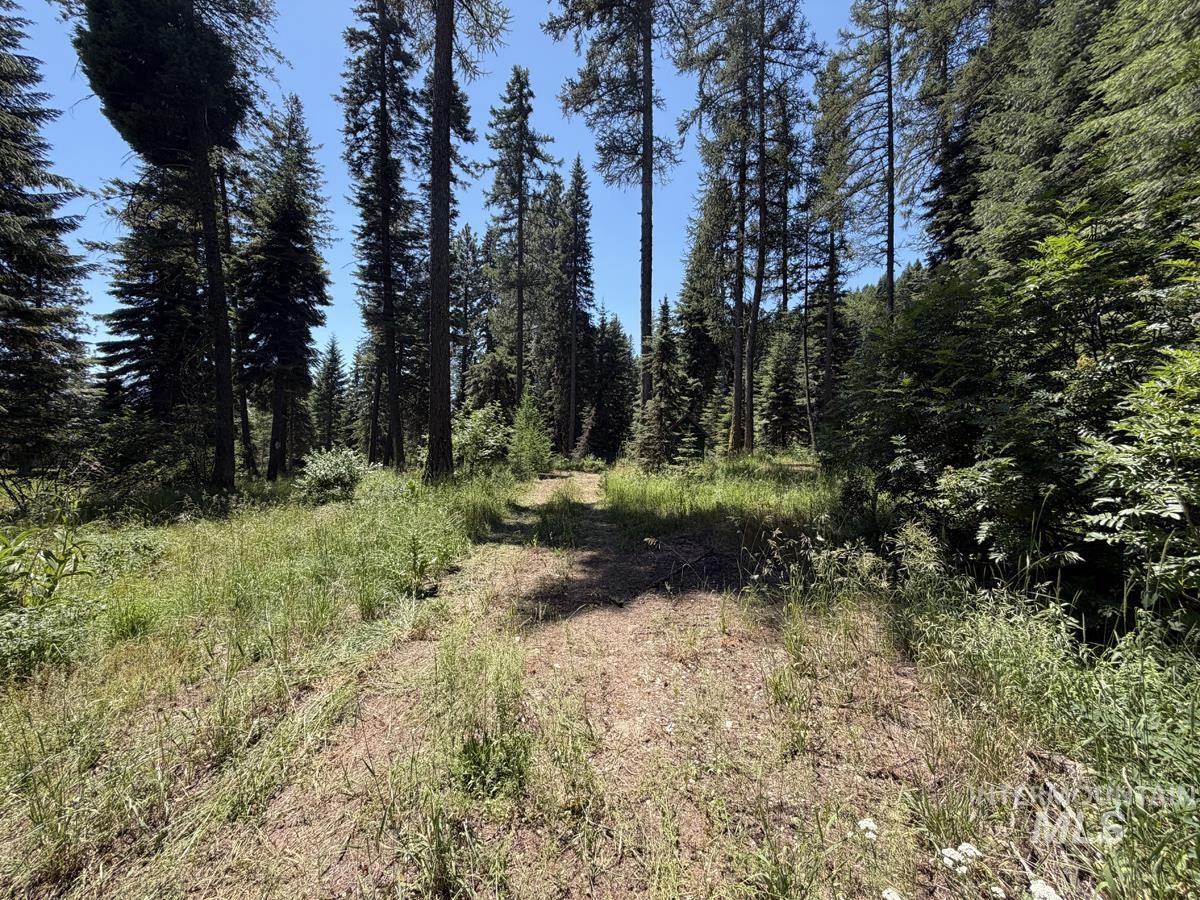 1610 Bear Trail Loop Property Photo 2