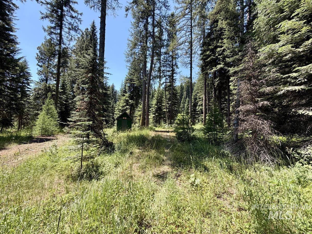 1610 Bear Trail Loop Property Photo 3
