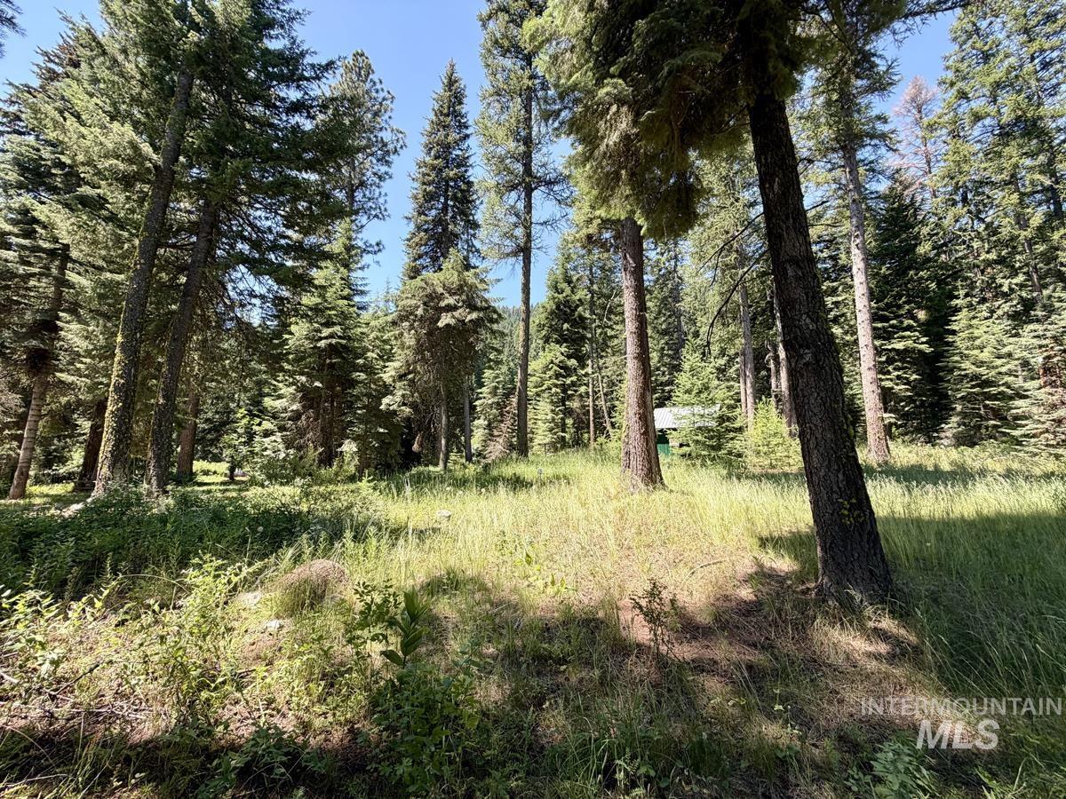 1610 Bear Trail Loop Property Photo 6