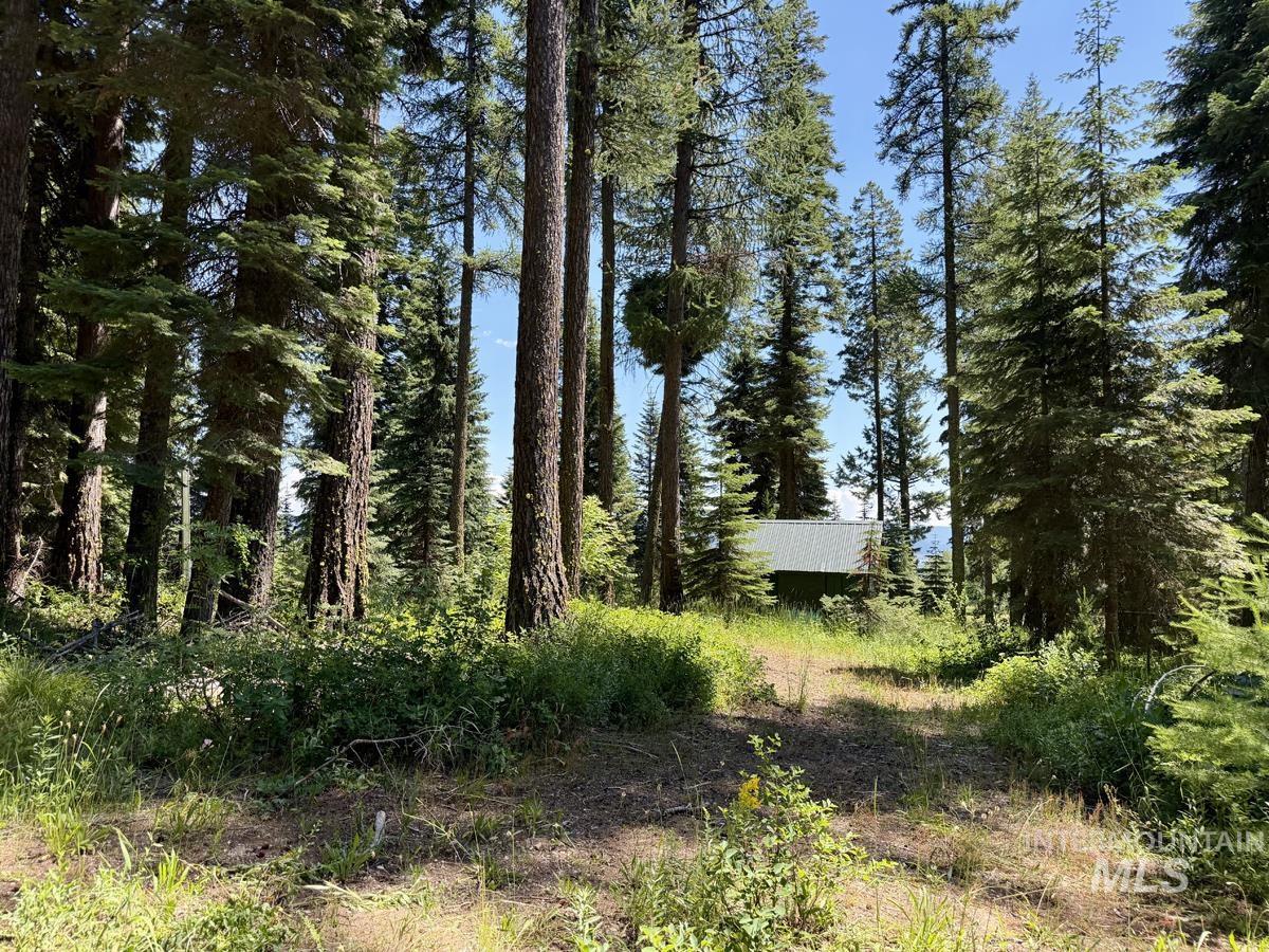 1610 Bear Trail Loop Property Photo 7