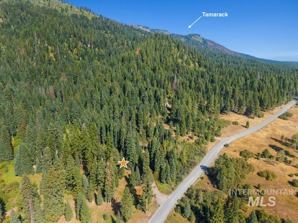 1610 Bear Trail Loop Property Photo 7