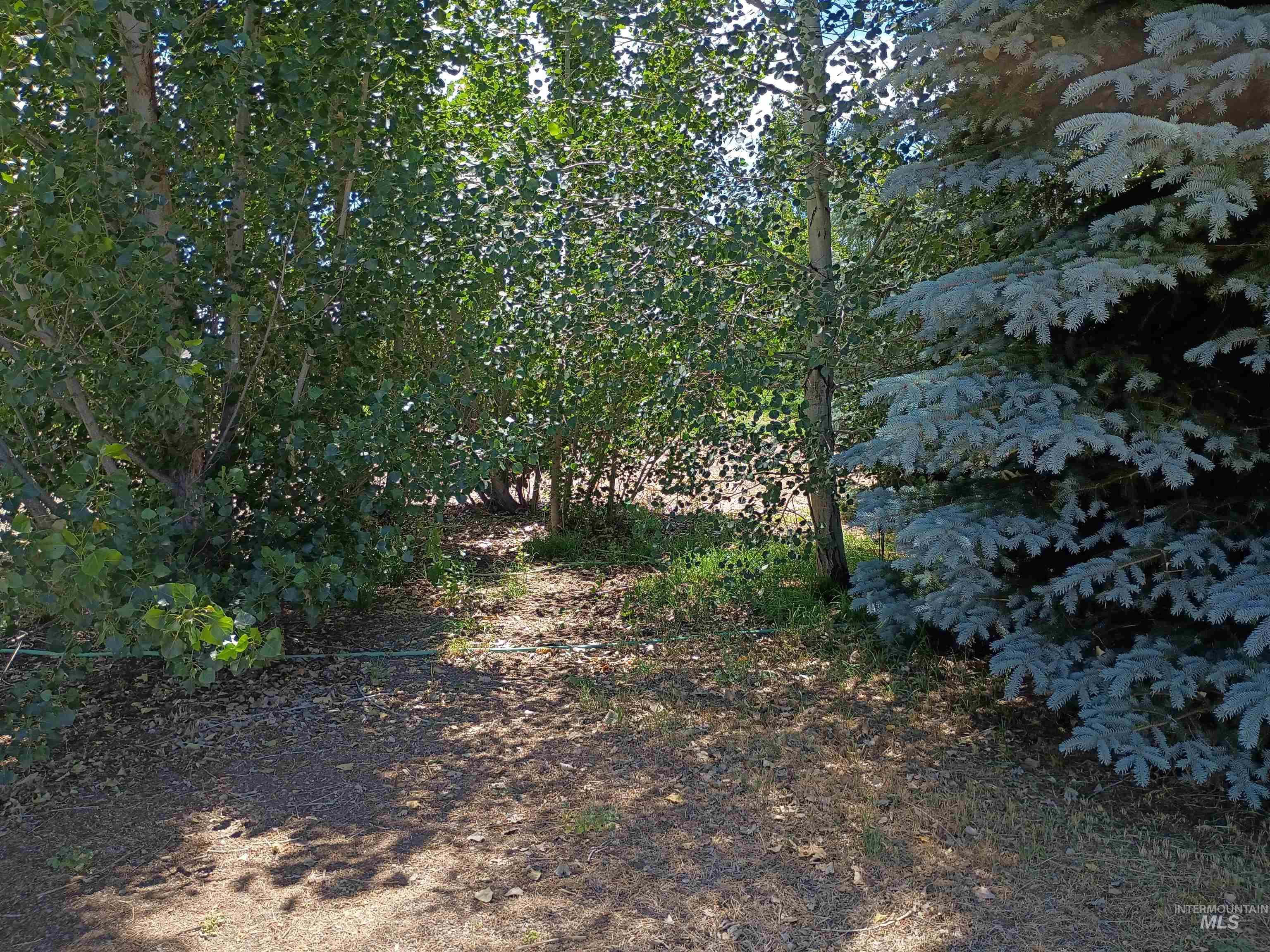 1127 E 720 N 1127 E 720 N Property Photo 37