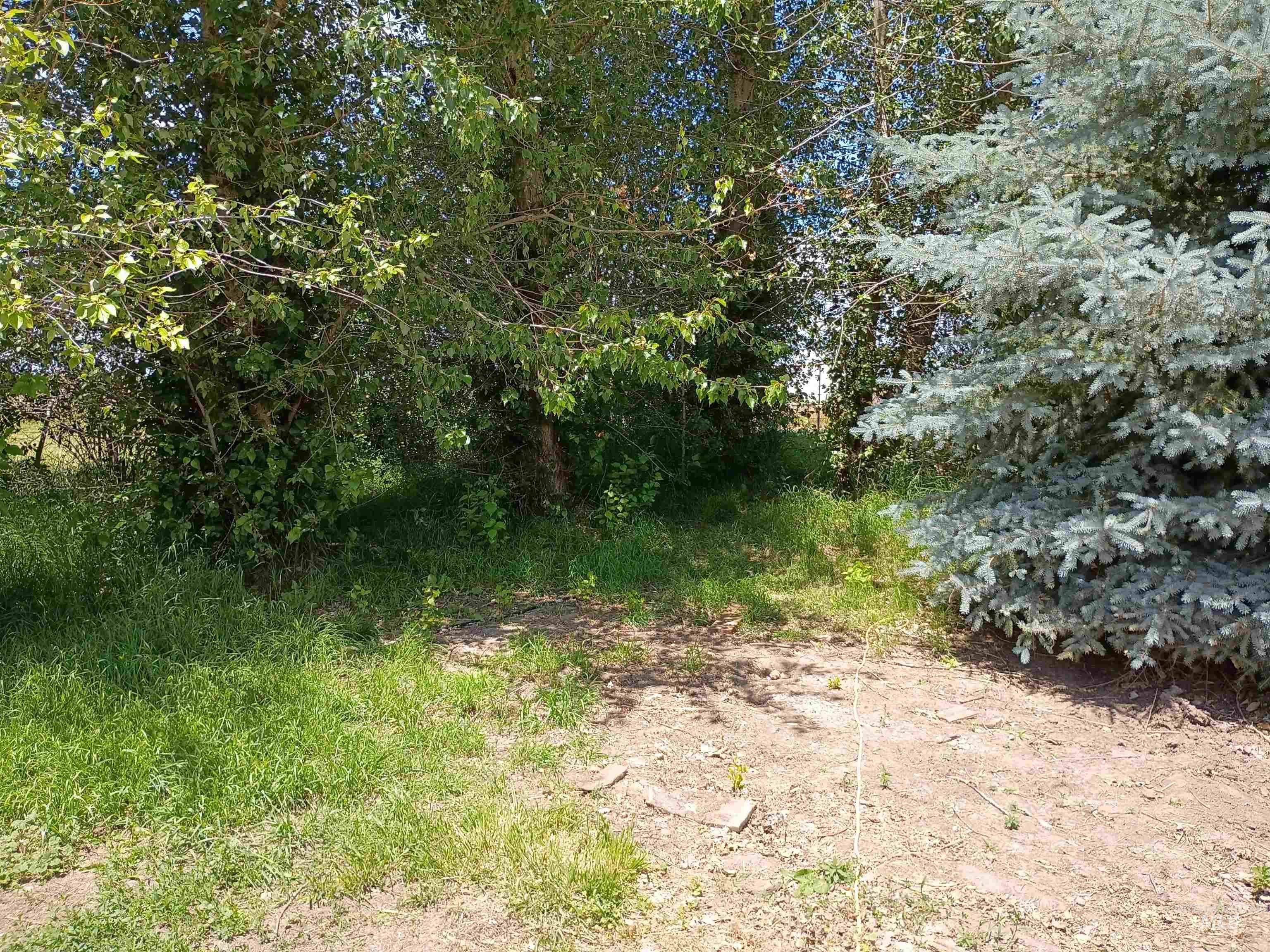 1127 E 720 N 1127 E 720 N Property Photo 38