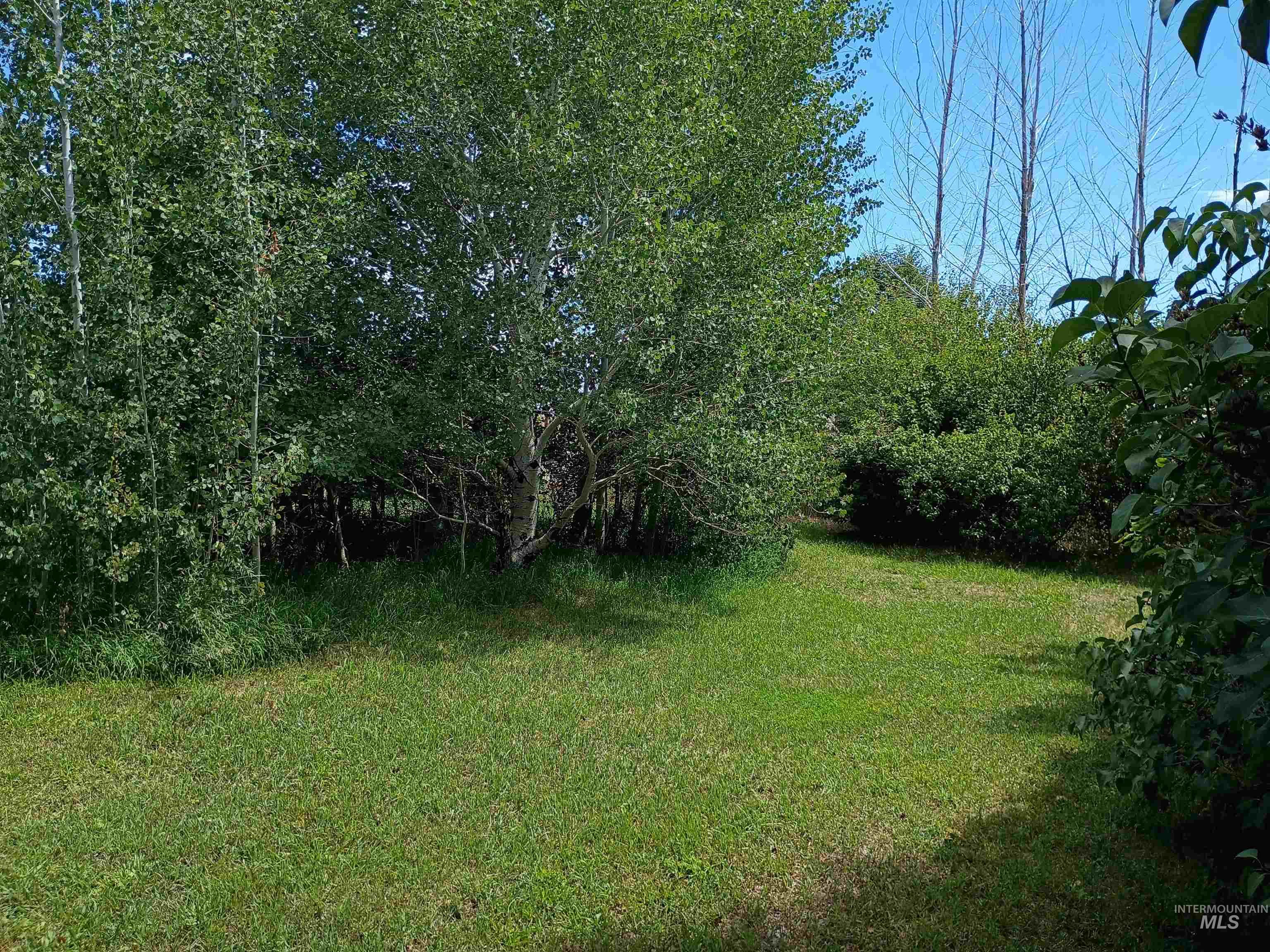 1127 E 720 N 1127 E 720 N Property Photo 40