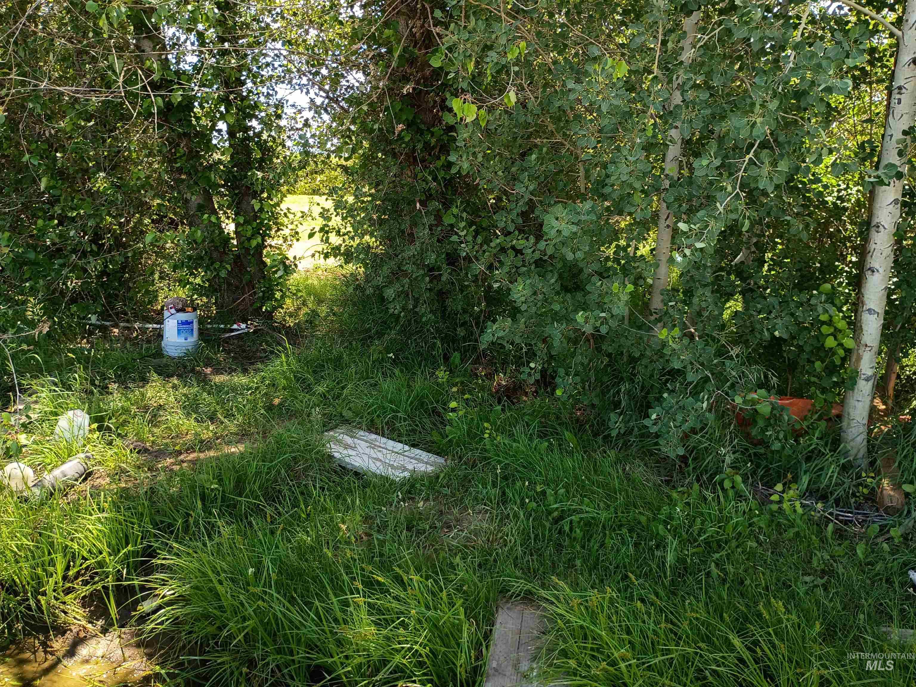 1127 E 720 N 1127 E 720 N Property Photo 42