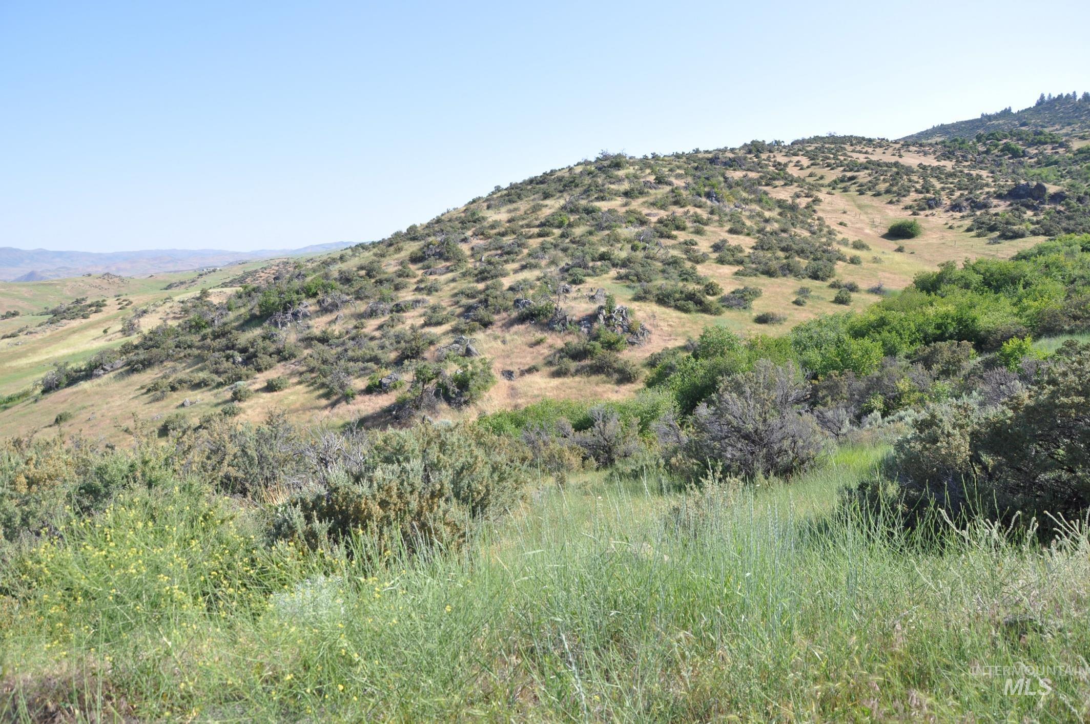 Tbd Holbrook Lane Property Photo 14