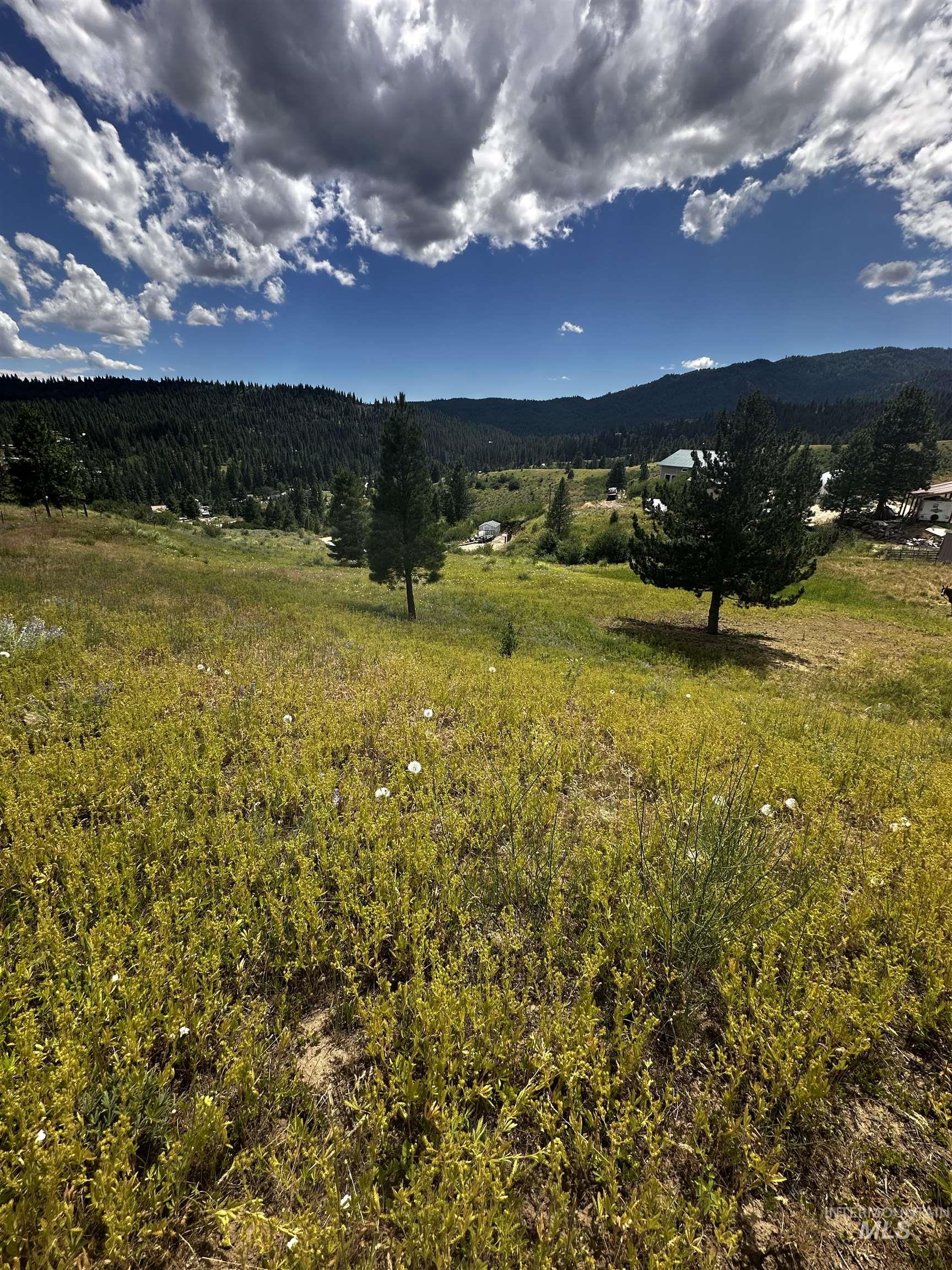 Tbd Gold Fork Ridge Rd-1.03 Acres Property Photo 6