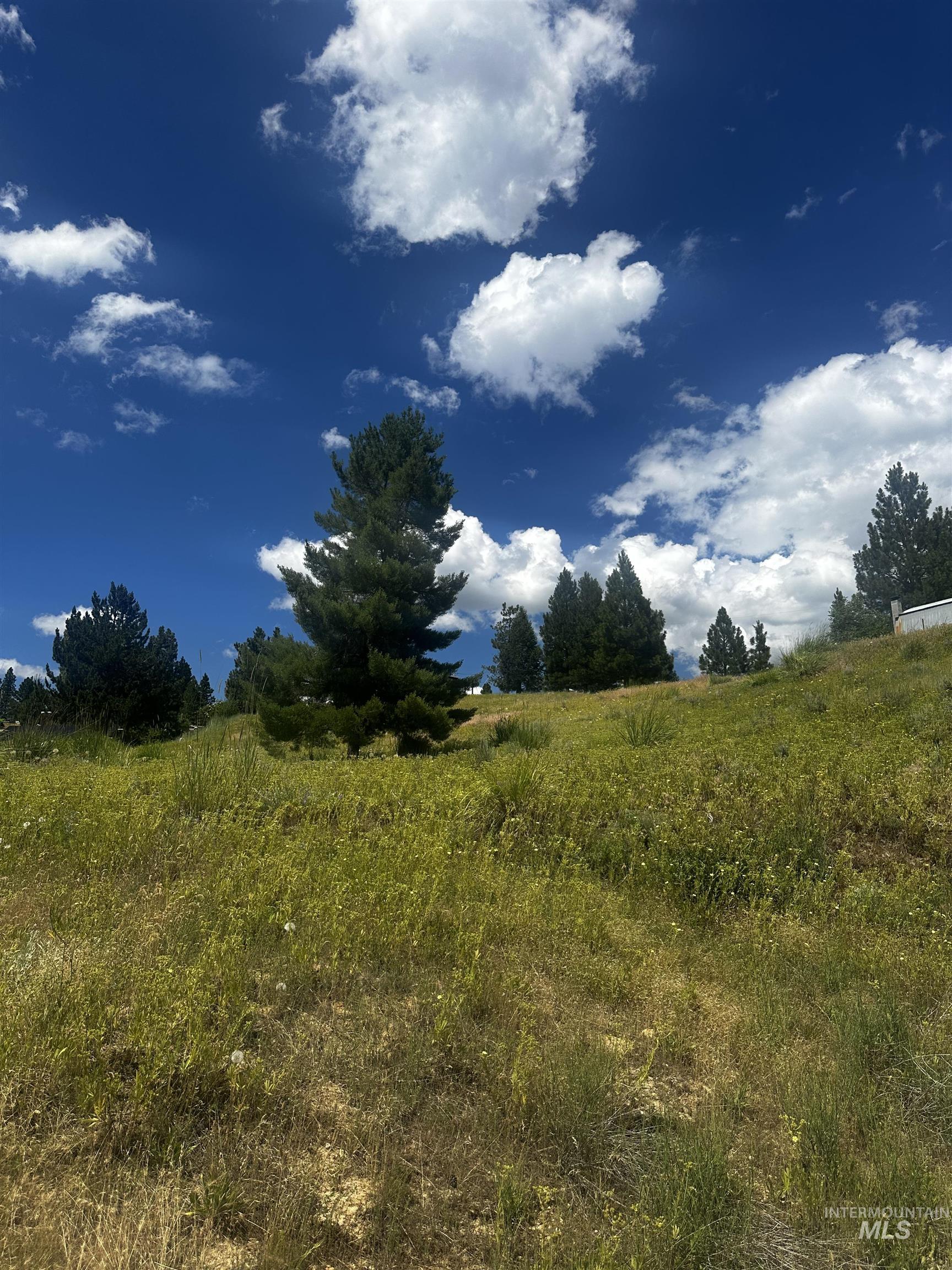 Tbd Gold Fork Ridge Rd-1.03 Acres Property Photo 7