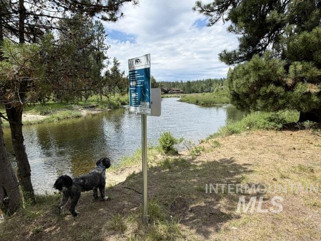 254 Buckcamp Lane Property Photo 7