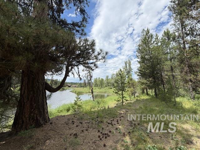 254 Buckcamp Lane Property Photo 9