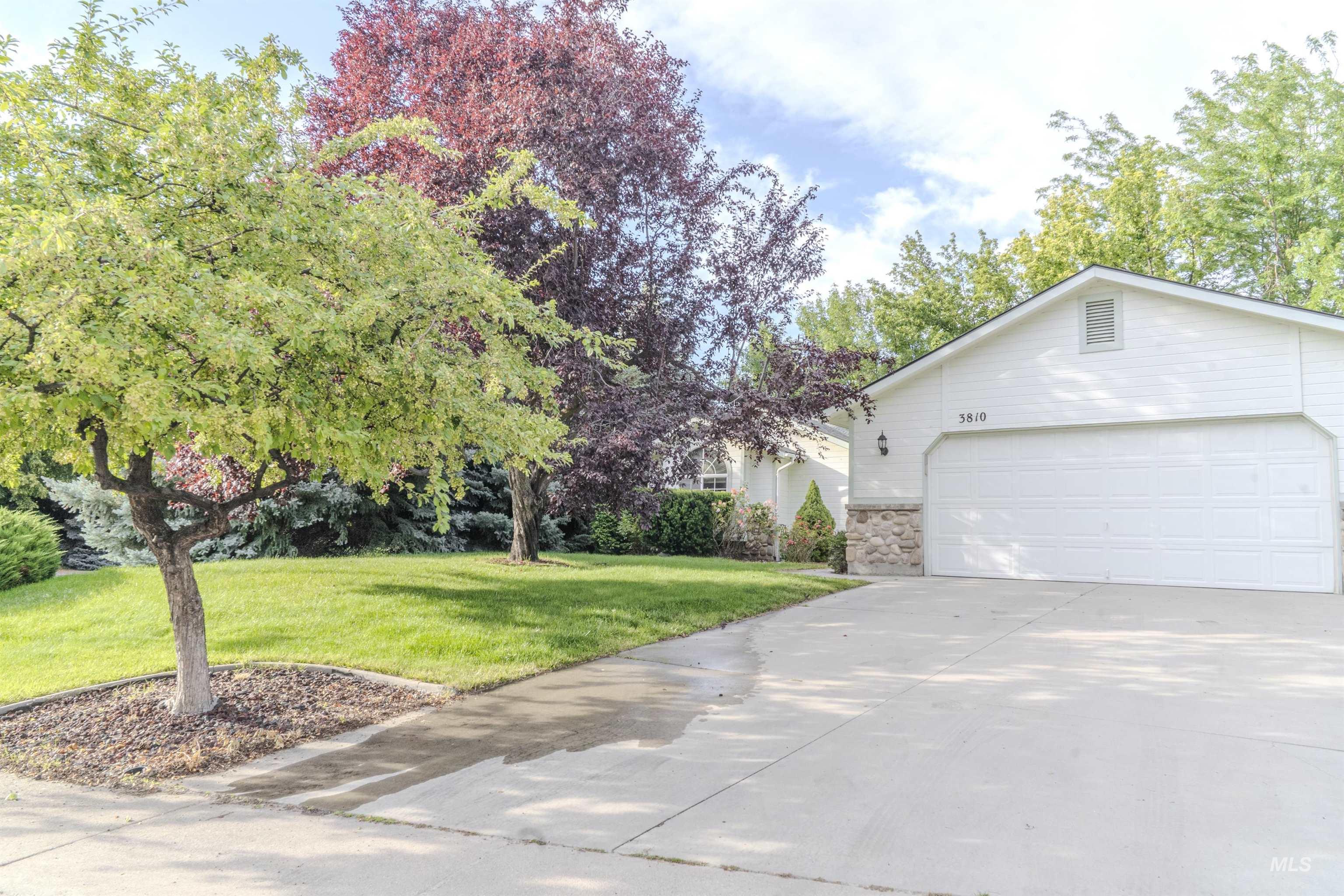 3810 E Anemone Property Photo 4