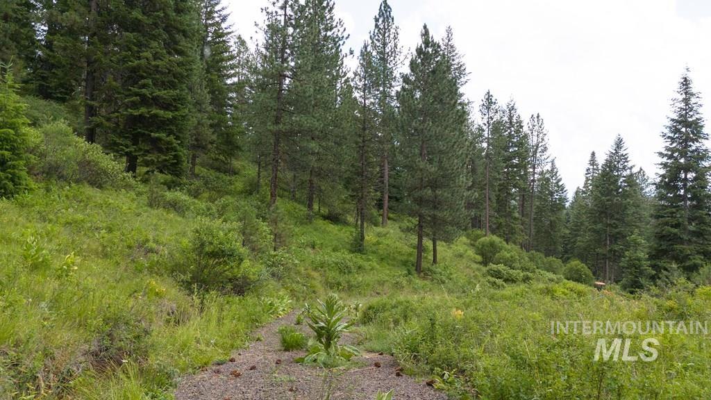 Tbd Hwy 95 Property Photo 10