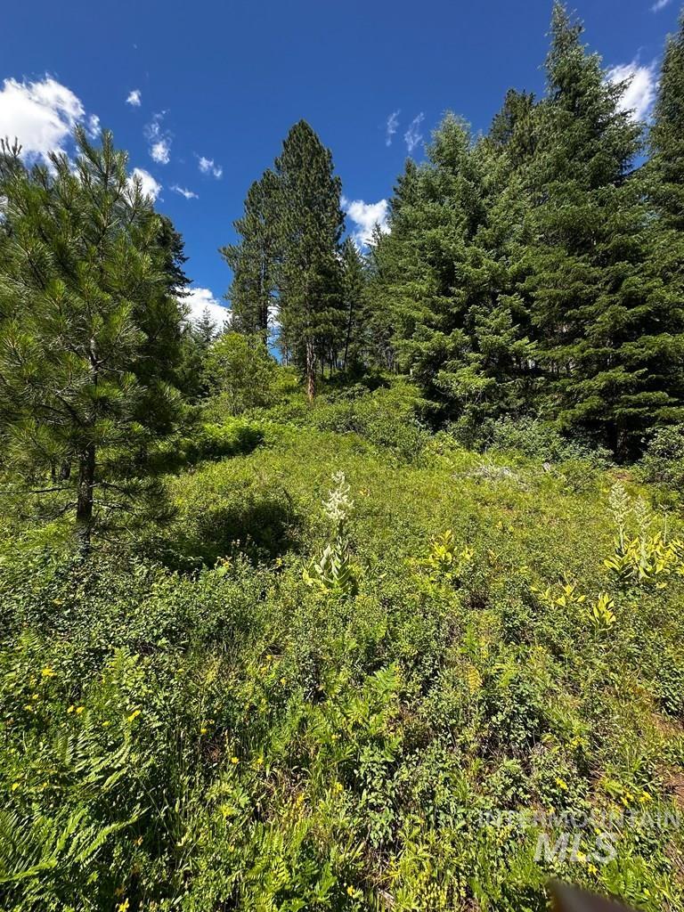 Tbd Hwy 95 Property Photo 11