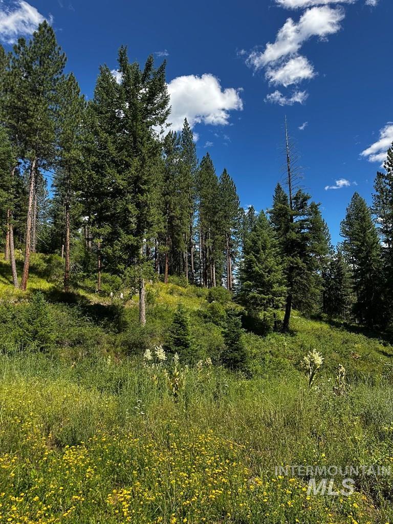 Tbd Hwy 95 Property Photo 12