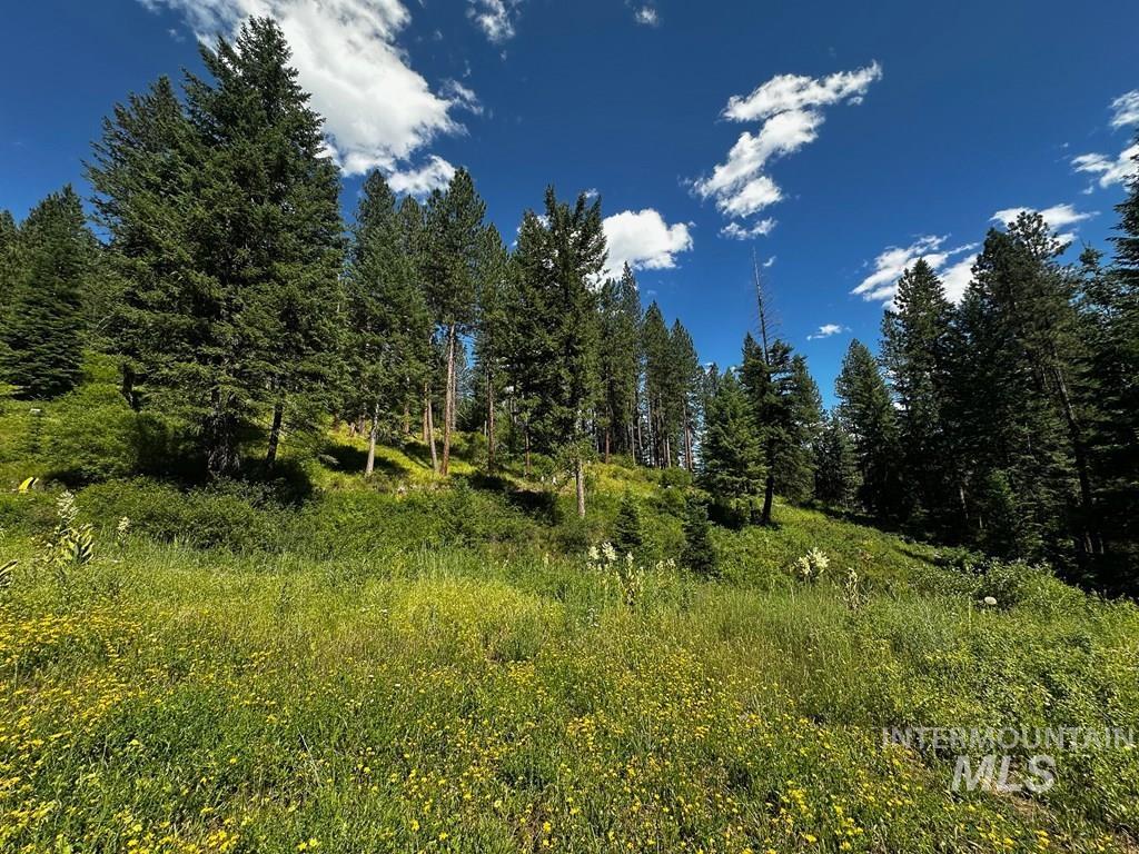 Tbd Hwy 95 Property Photo 13